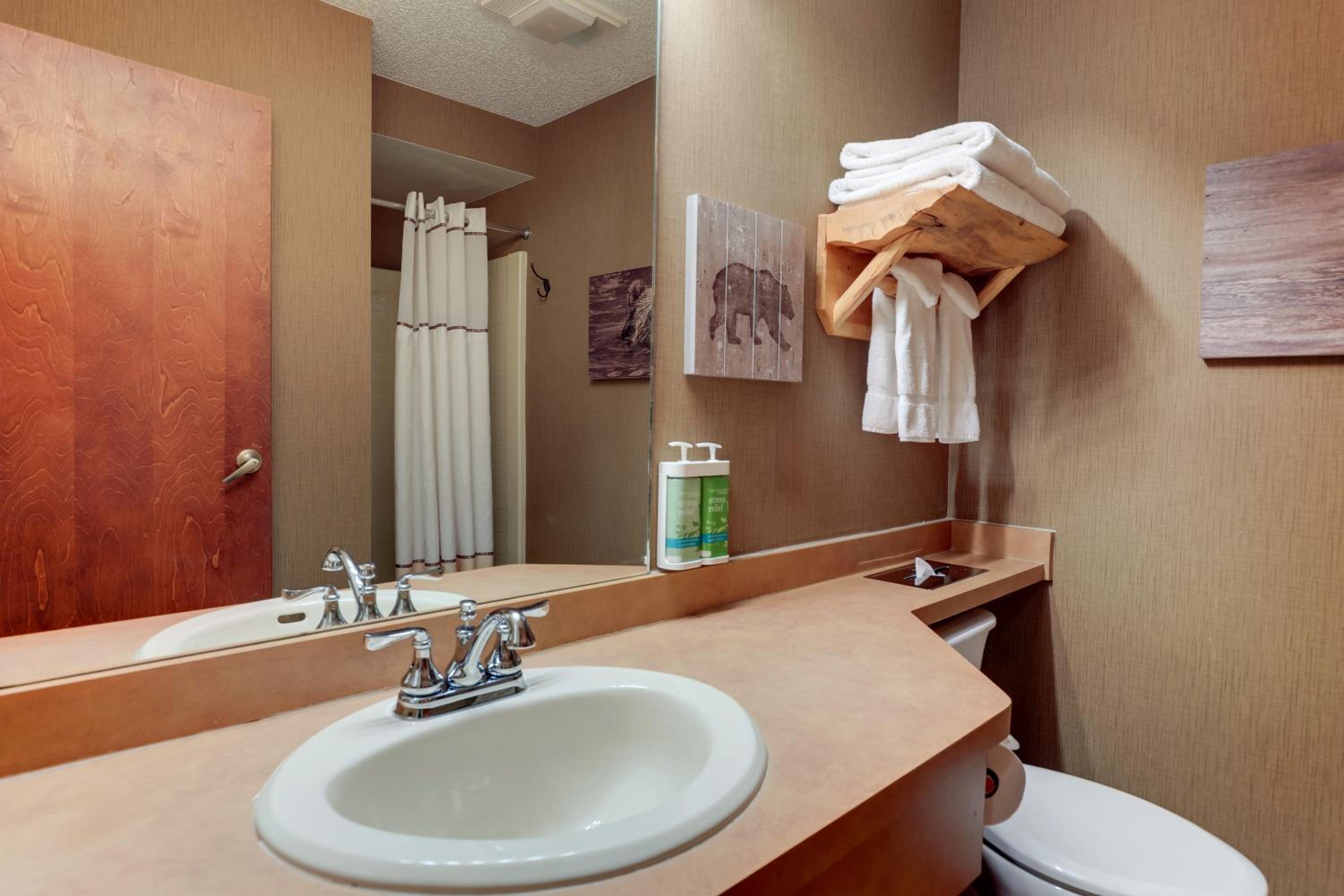 Superior Suite - Photo 3