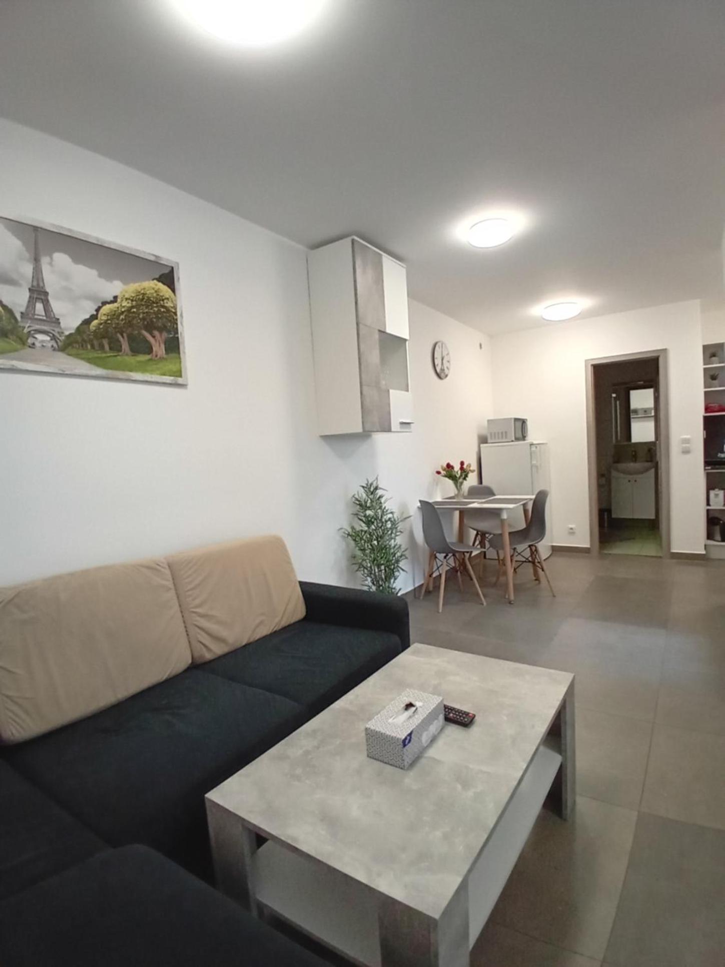One-Bedroom Apartment - Photo 4