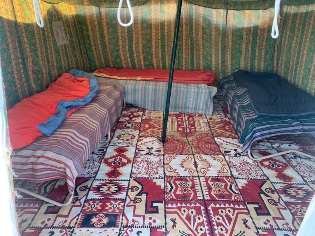 Tent photo 3