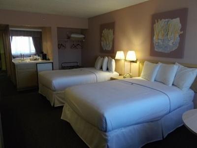 Double Room with Whirlpool (Promotional Package) photo 3