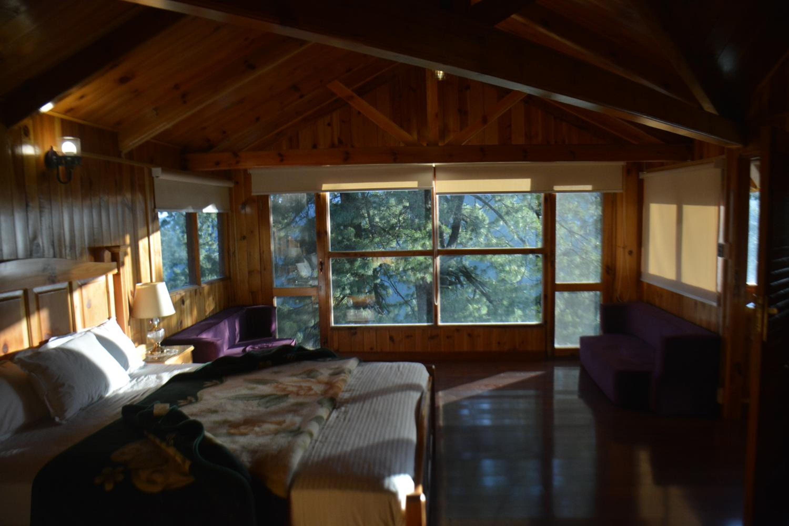 Standard Villa photo 3