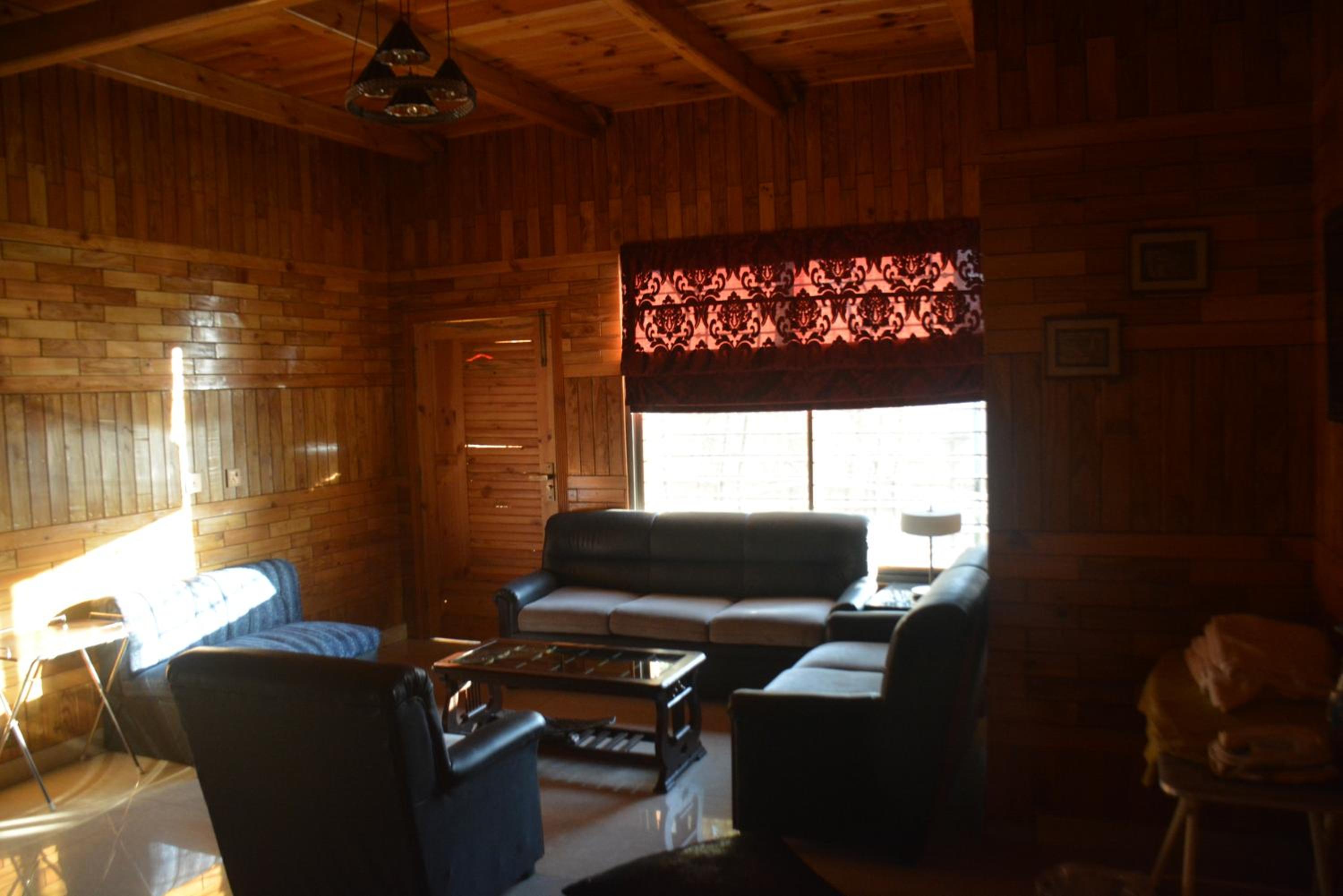 Apartment with Terrace photo 3