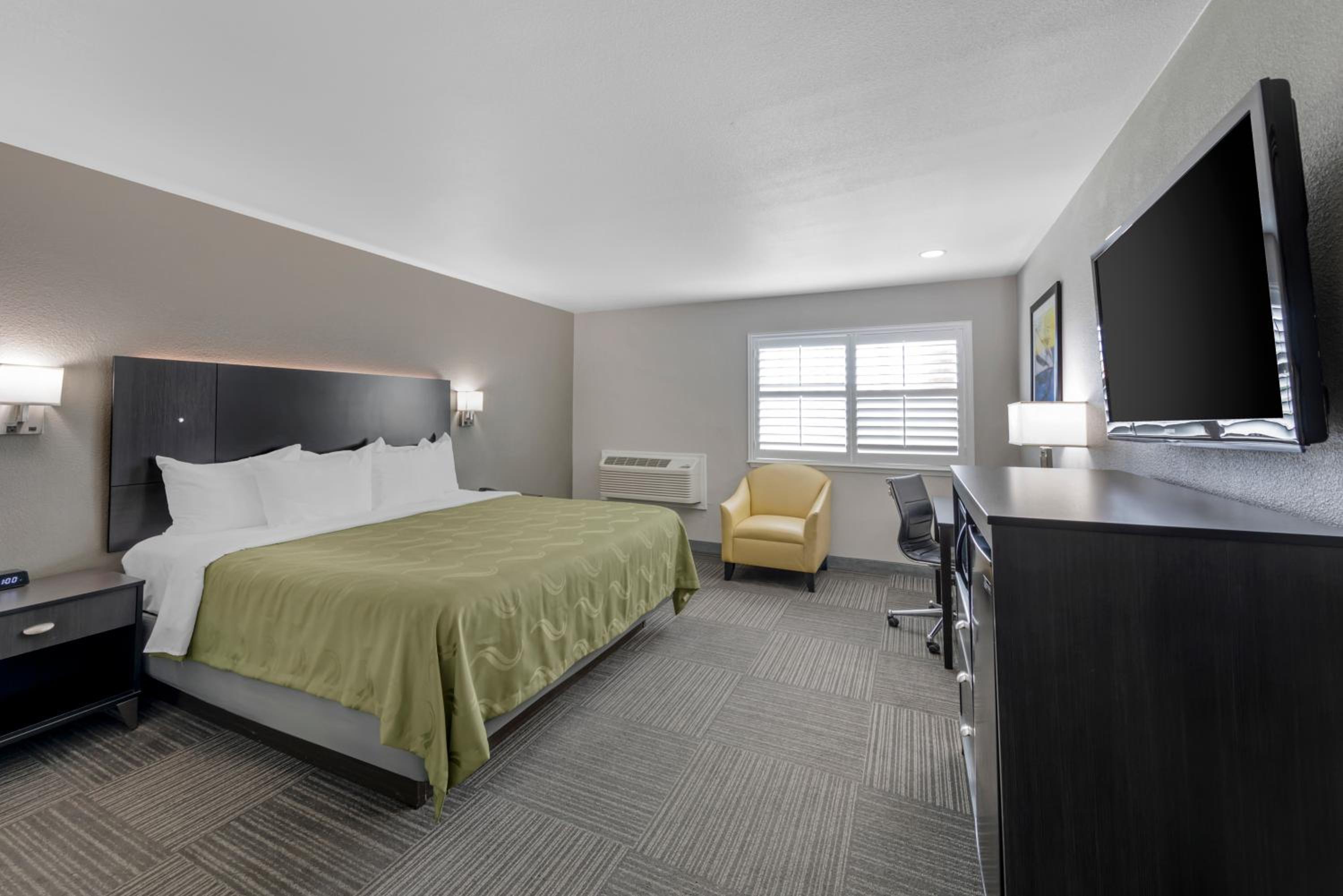 King Room - Non Smoking/Pet Friendly - Photo 4