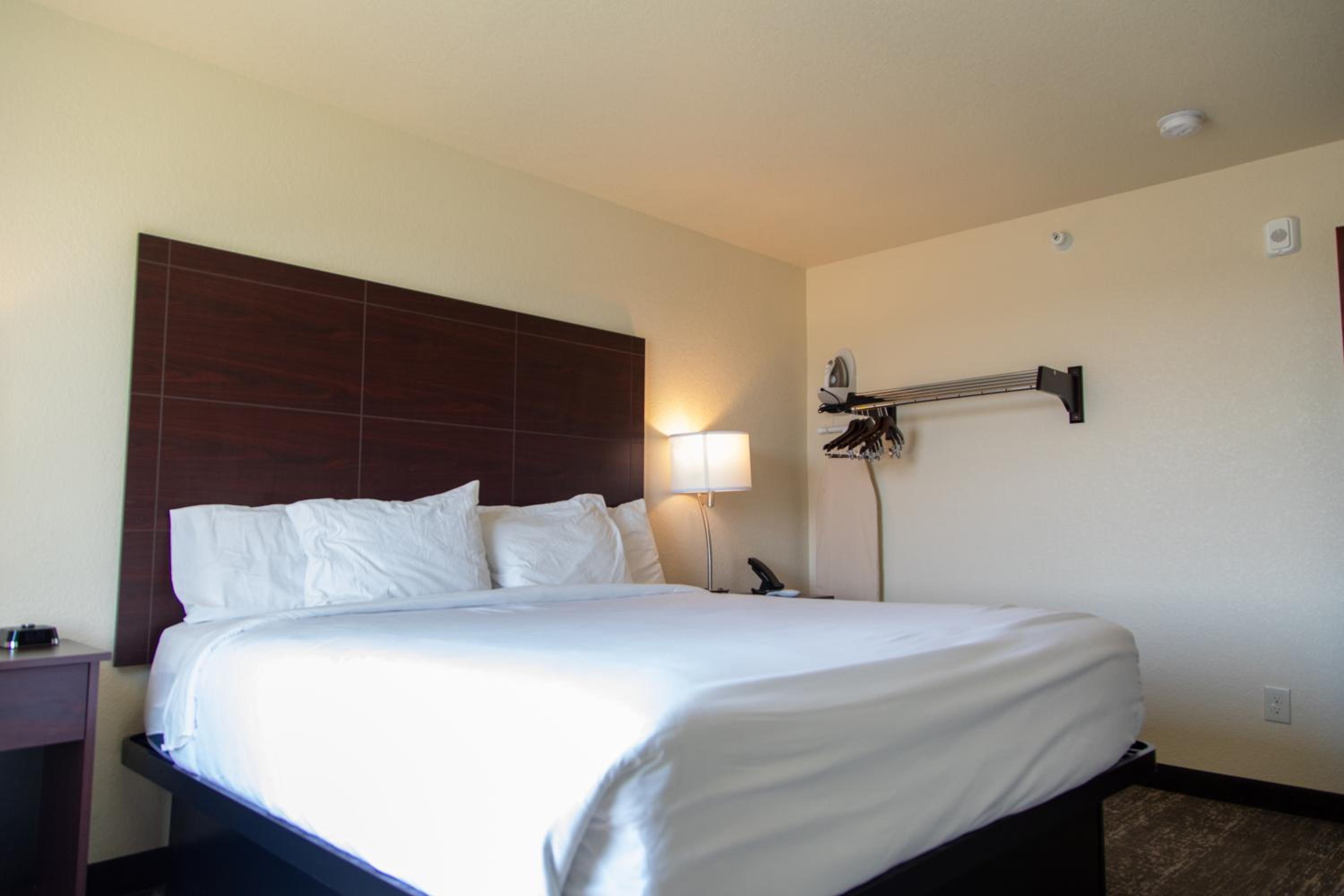 Suite - Photo 5
