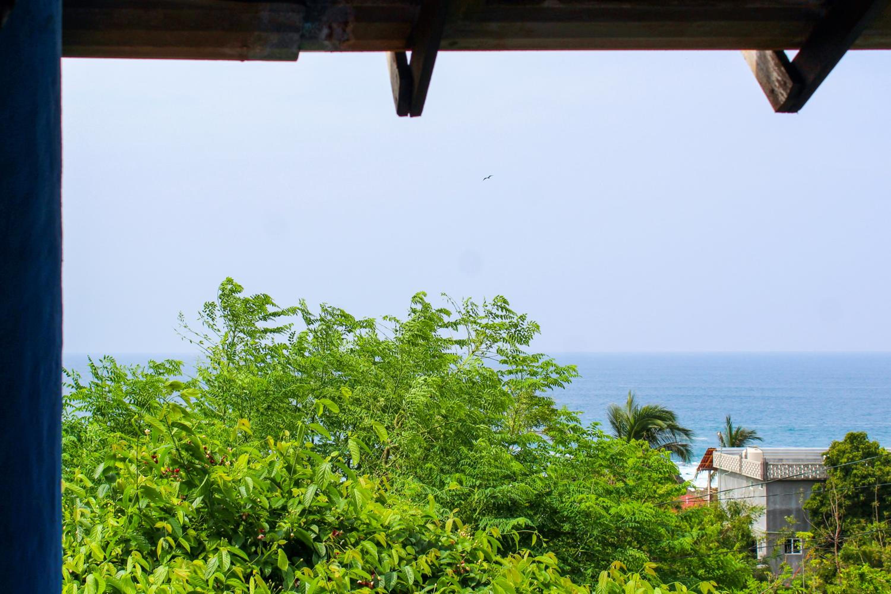 Studio with Balcony photo 3