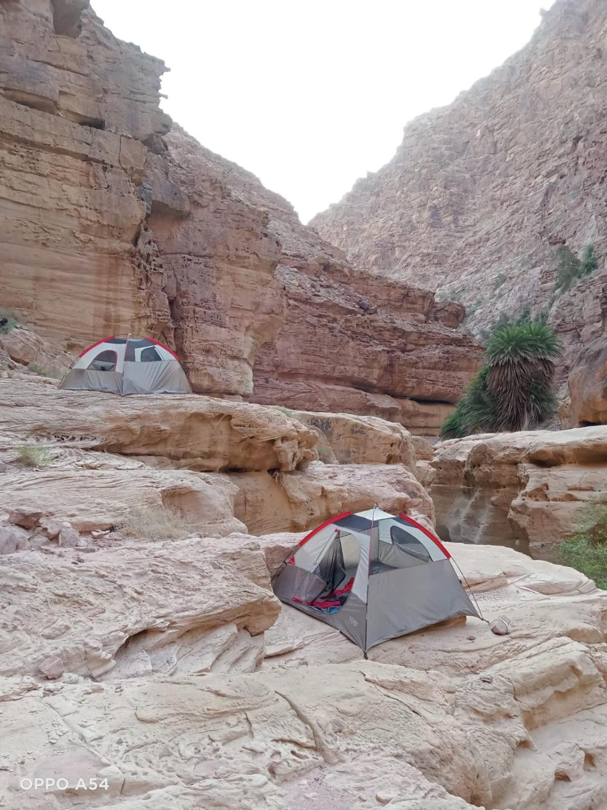 Sky Star Tent photo 1