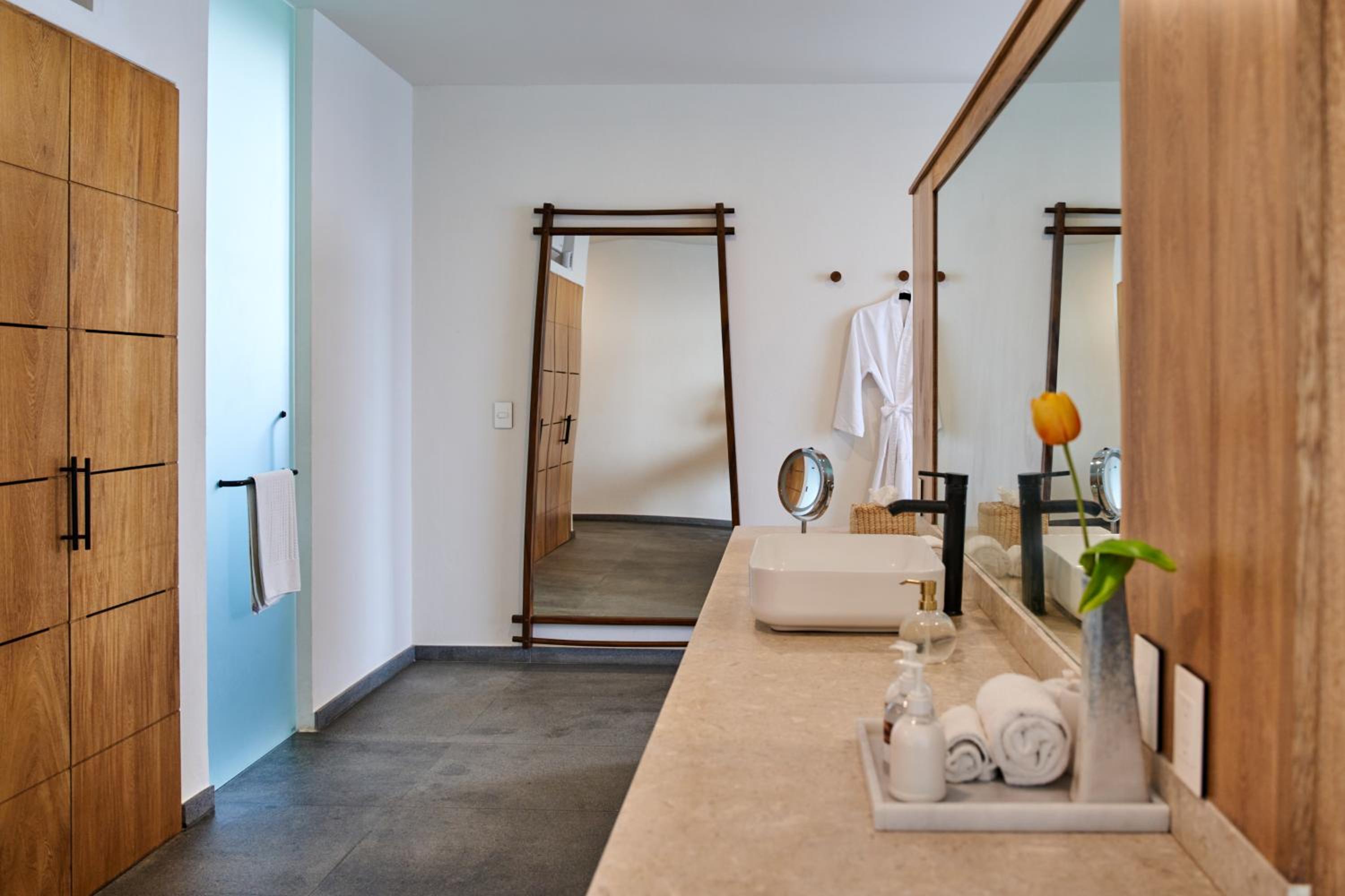 Deluxe King Suite - Photo 8