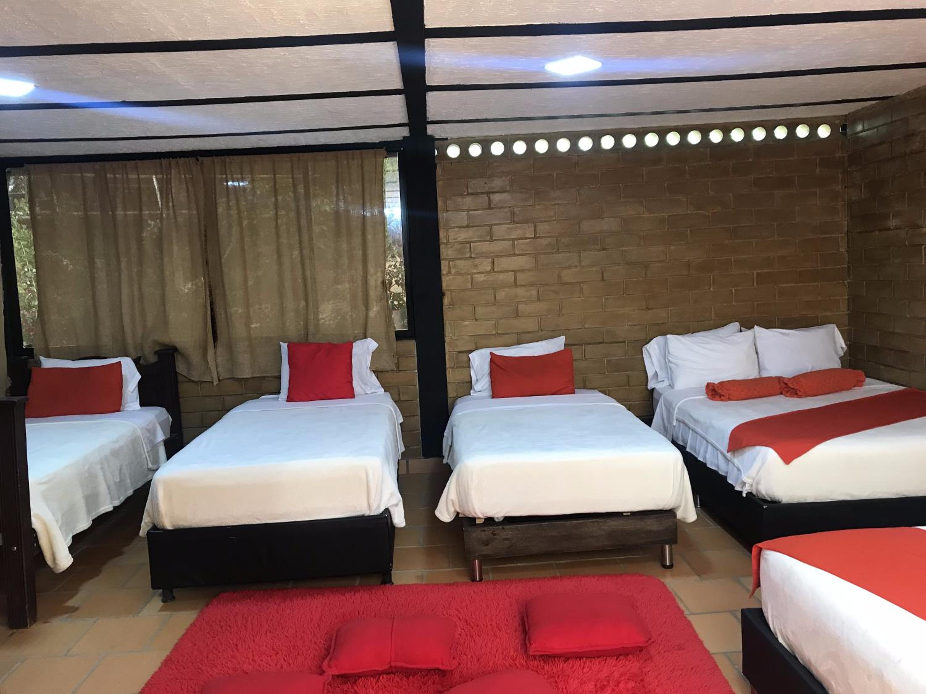 Deluxe Family Room photo 2