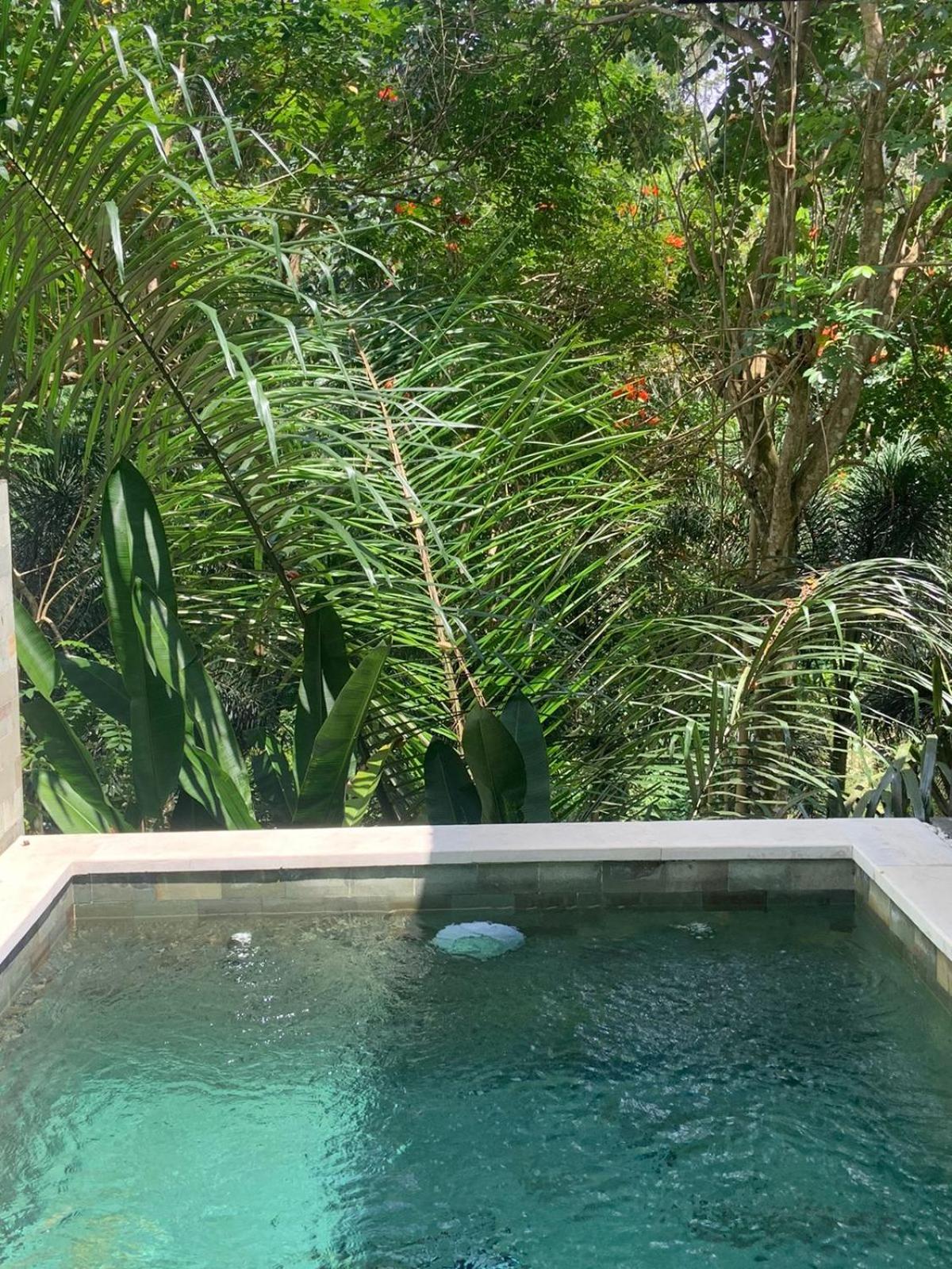One Bedroom Villa with Private Pool - Photo 17