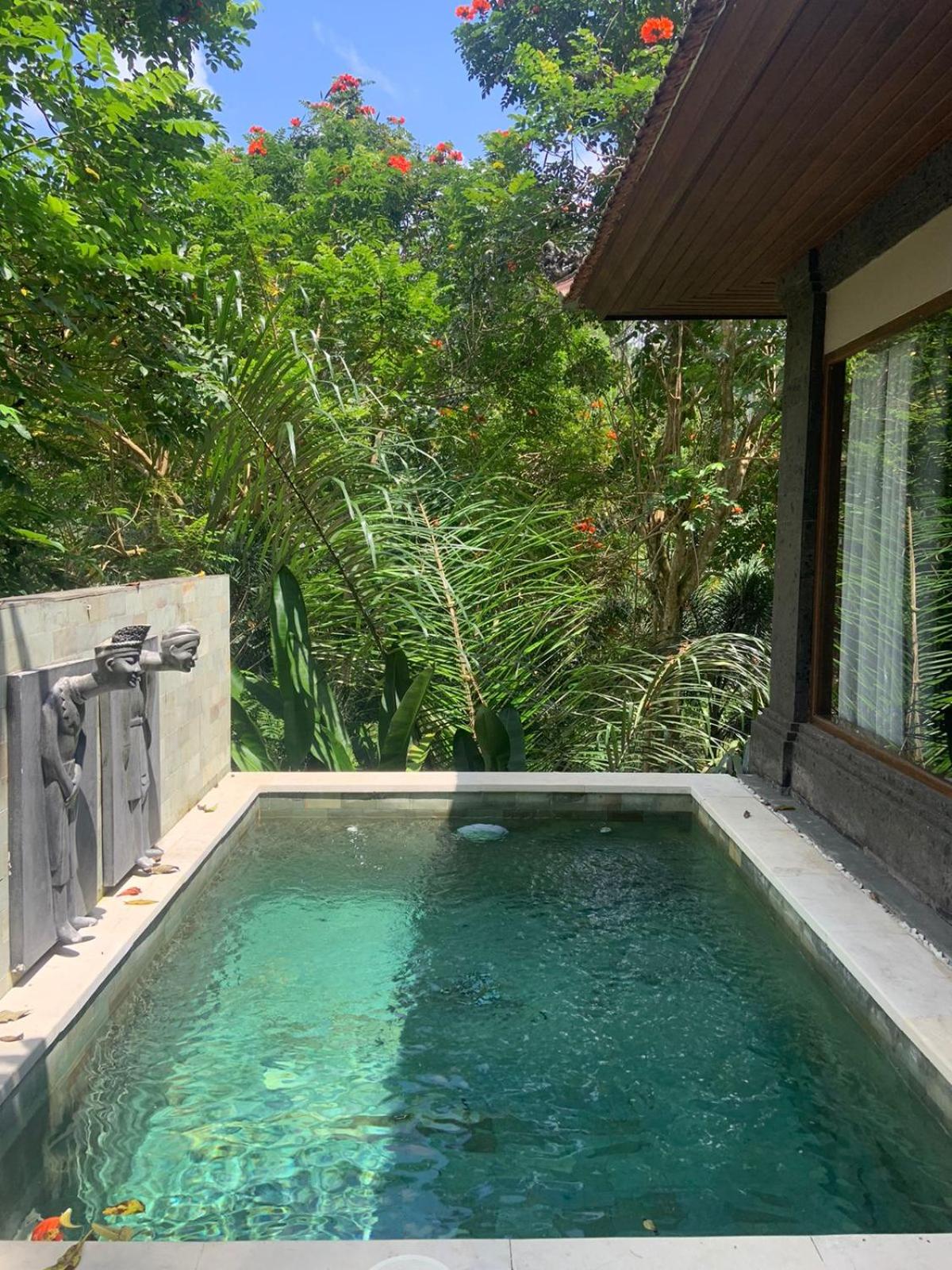 One Bedroom Villa with Private Pool - Photo 19