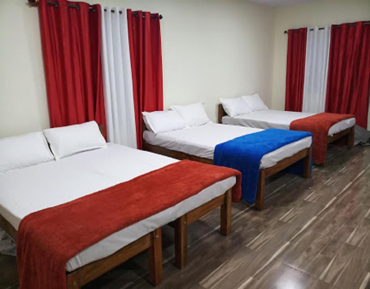 Family Suite photo 1