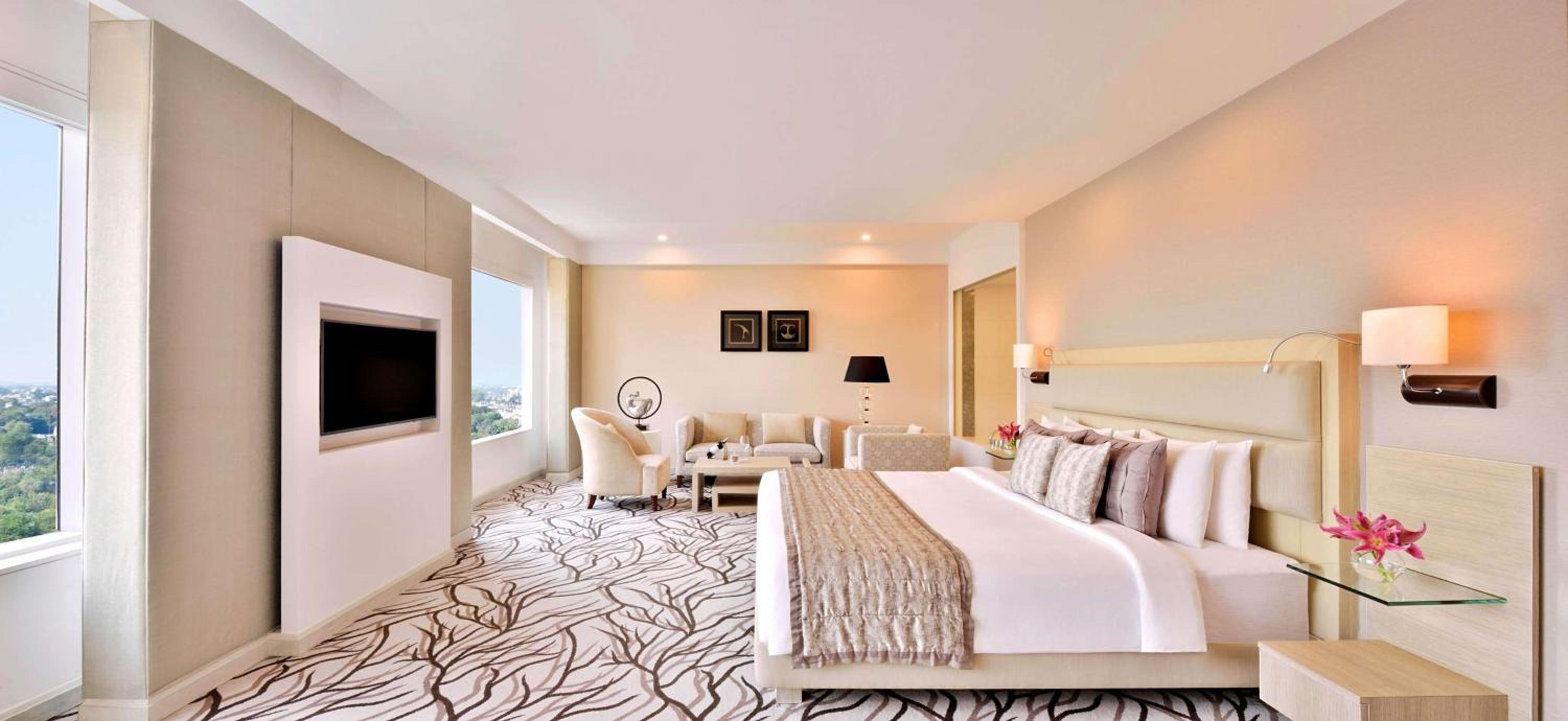 Suite - Photo 1