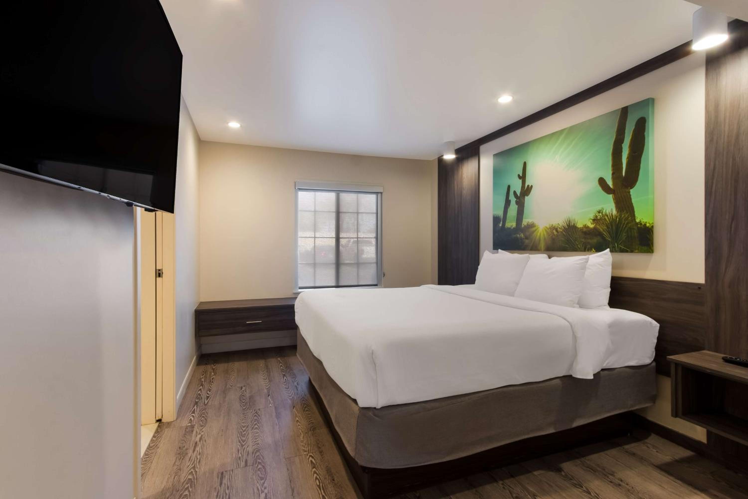 King Suite - Photo 4