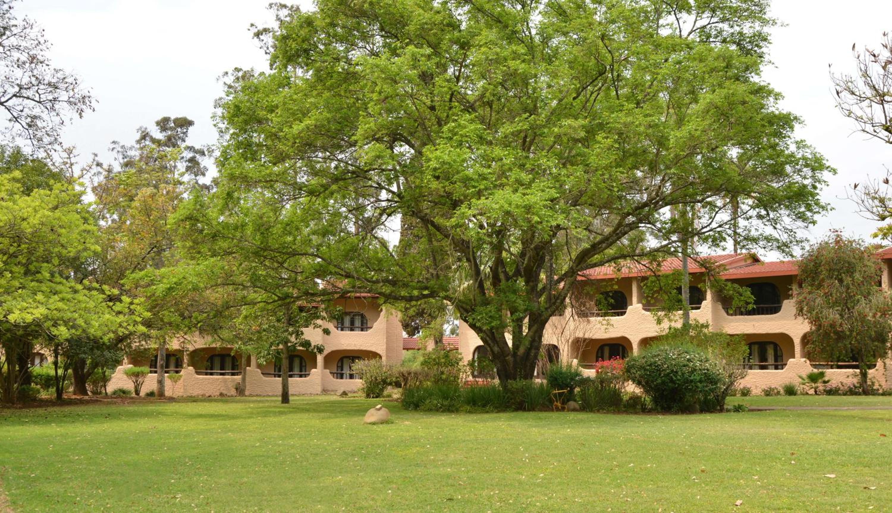 Standard King or Twin Room with Garden View - Photo 2
