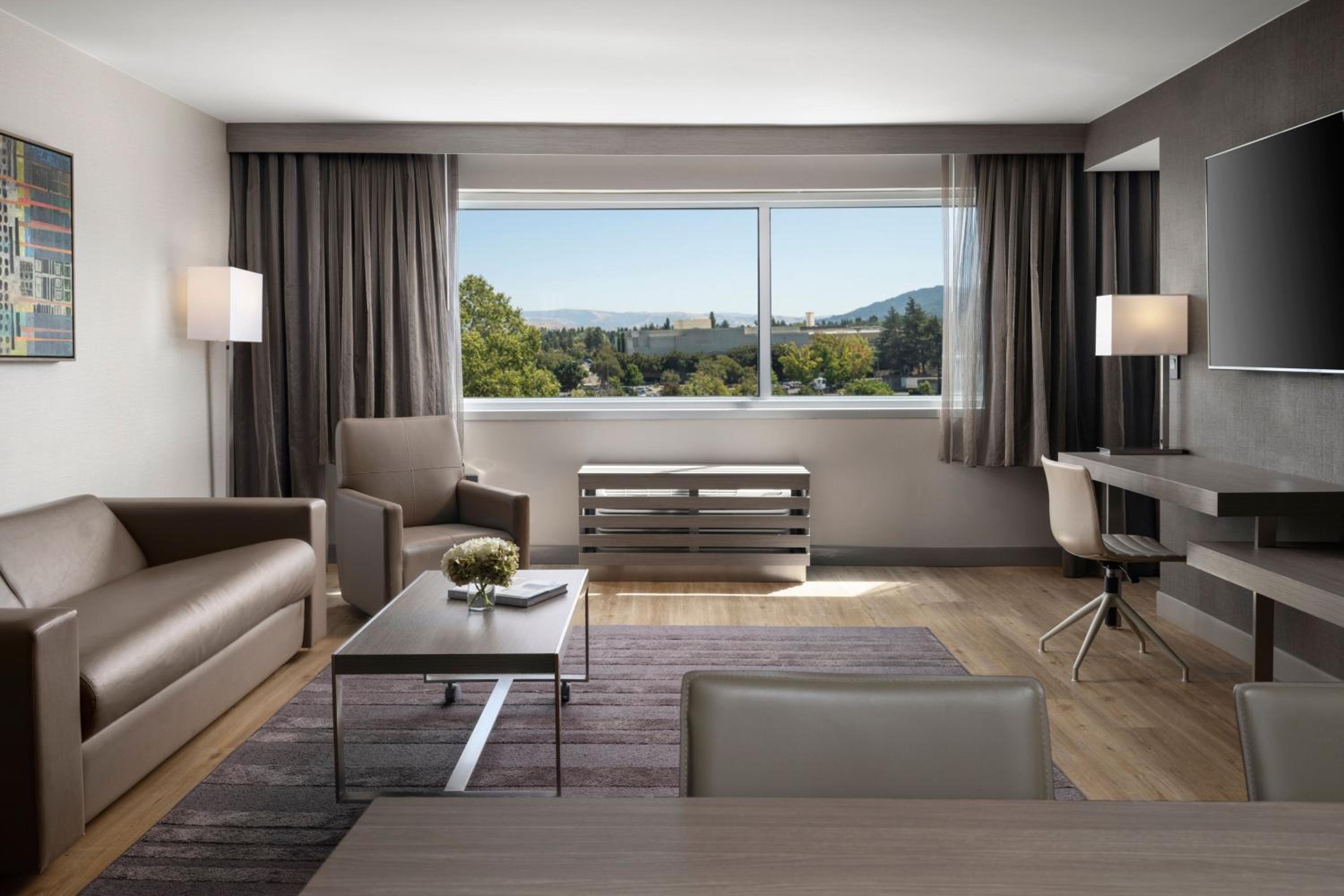 One-Bedroom King Suite with Mountain View - Photo 3