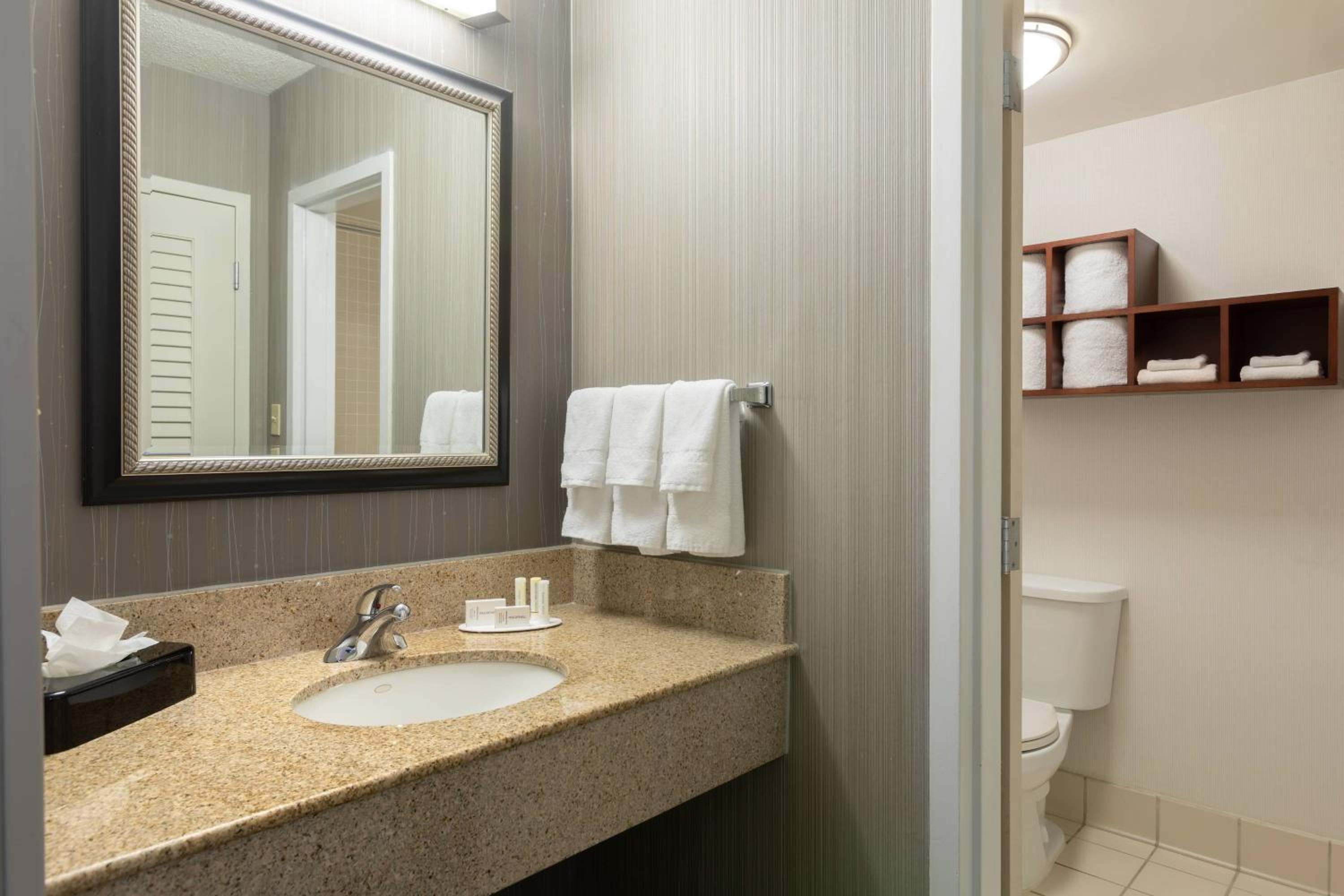 One-Bedroom King Suite - Photo 6