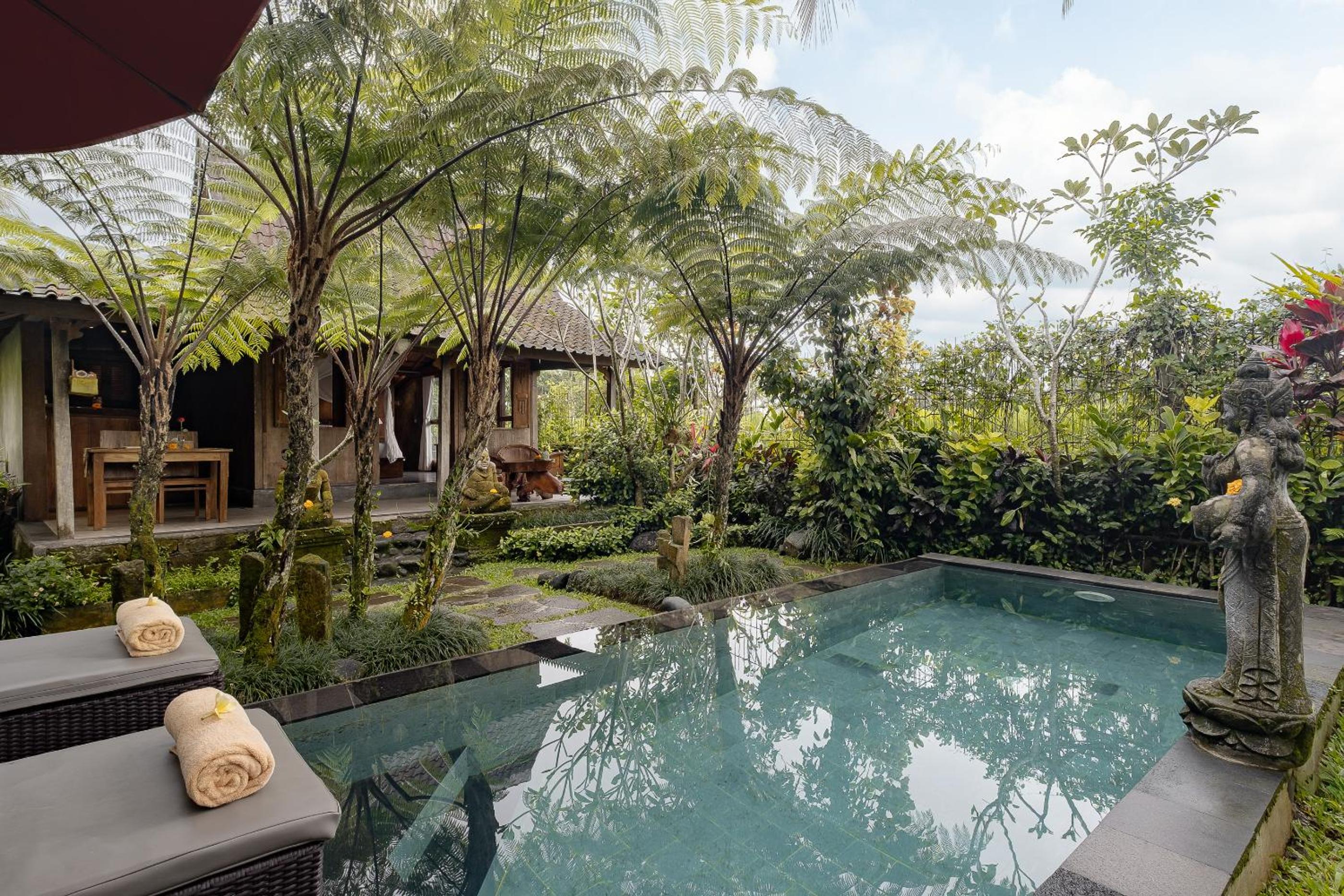 One-Bedroom Pool Villa with Ricefield View - Photo 129
