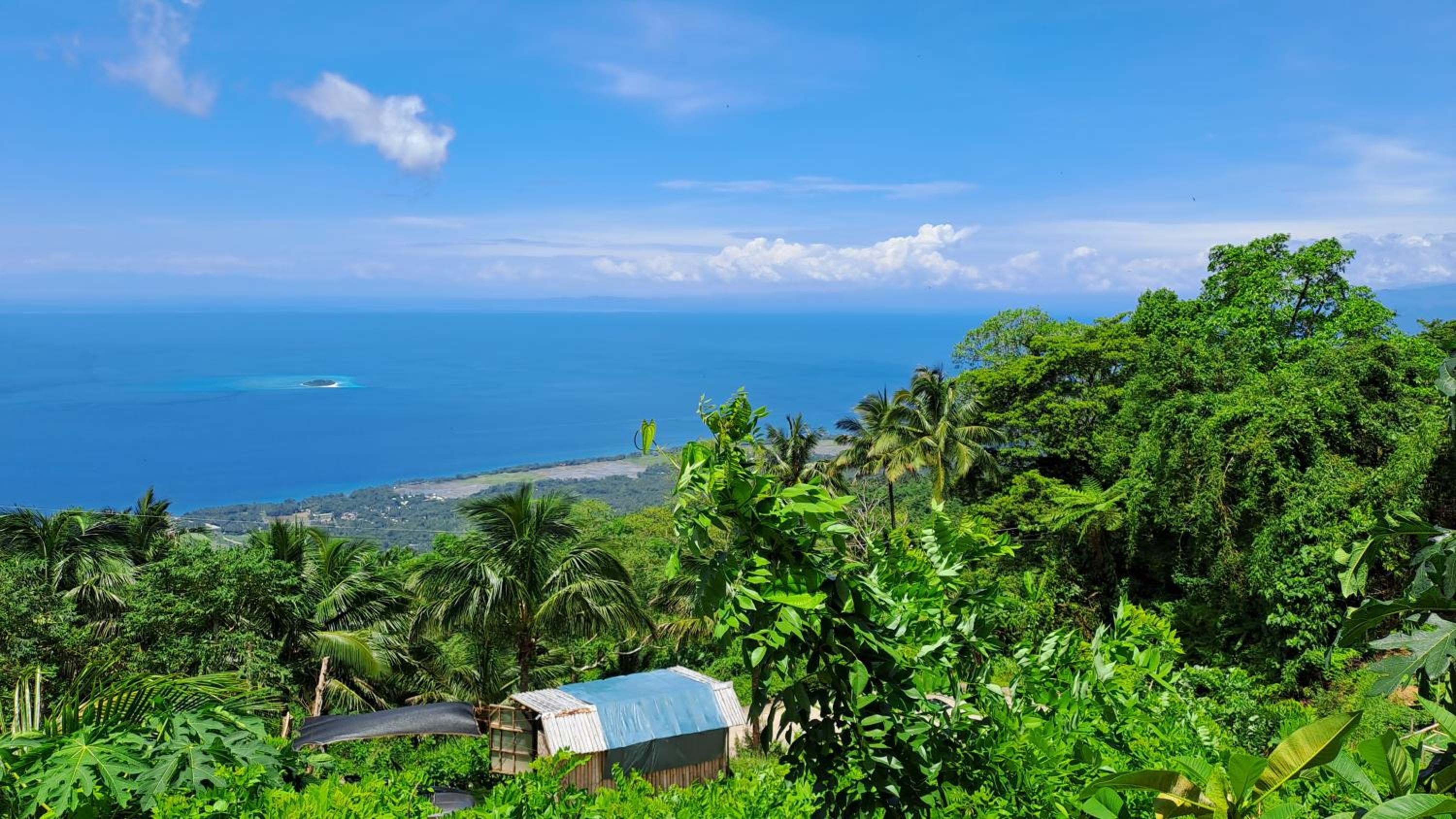 King Room with Sea View photo 3