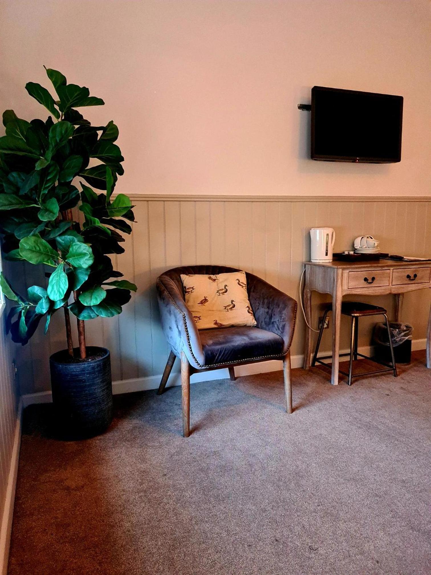 Family Room - Photo 1