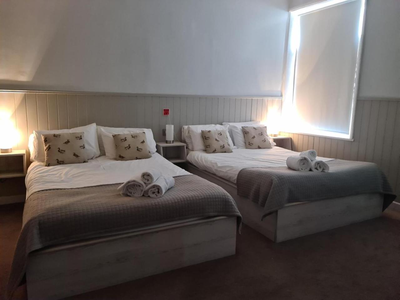 Family Room - Photo 2