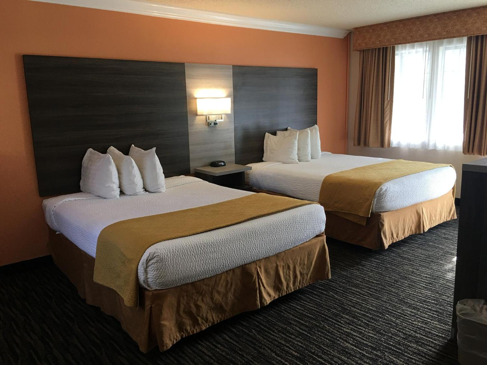 Queen Room - Disability Access - Photo 4