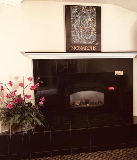 King Room with Fireplace - Photo 2