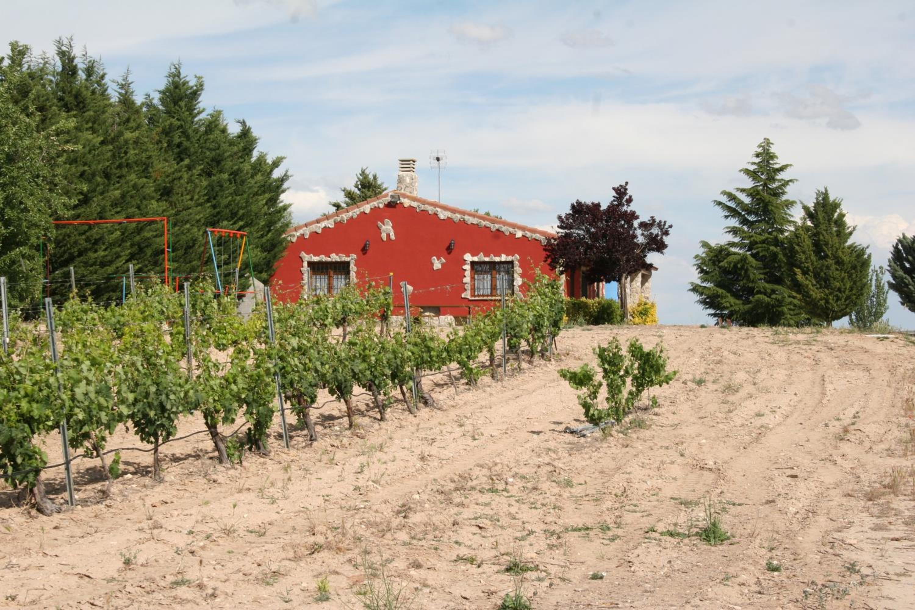 CASA BODEGAS MARCOS - Photo 37