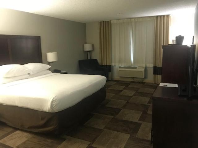 King Room - Non-Smoking - Photo 4