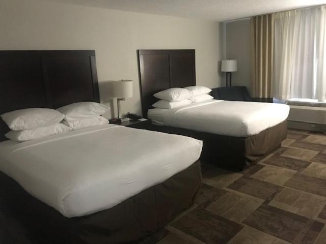 Queen Room with Two Queen Beds - Non-Smoking - Photo 5