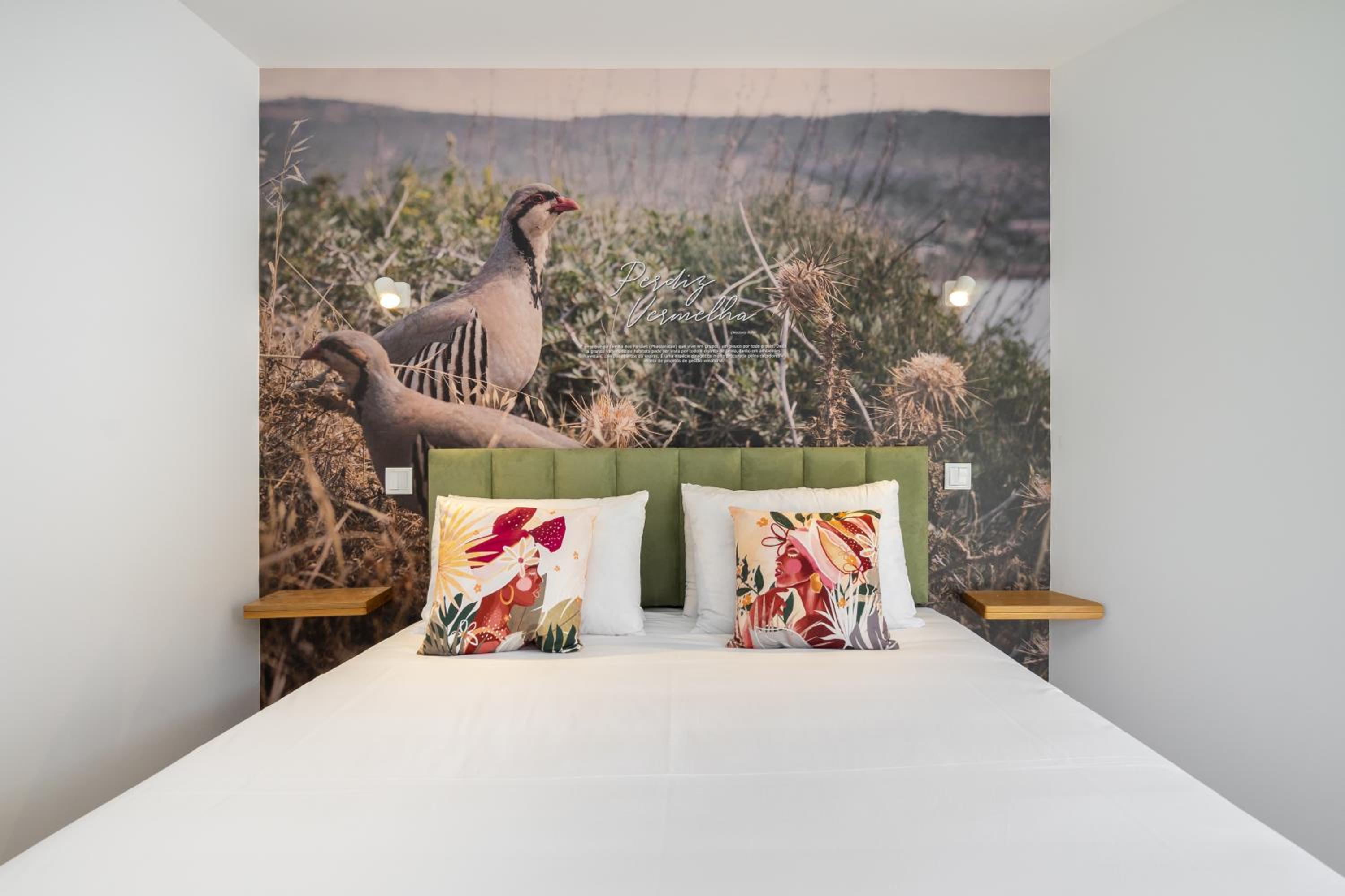Superior Double Room photo 1