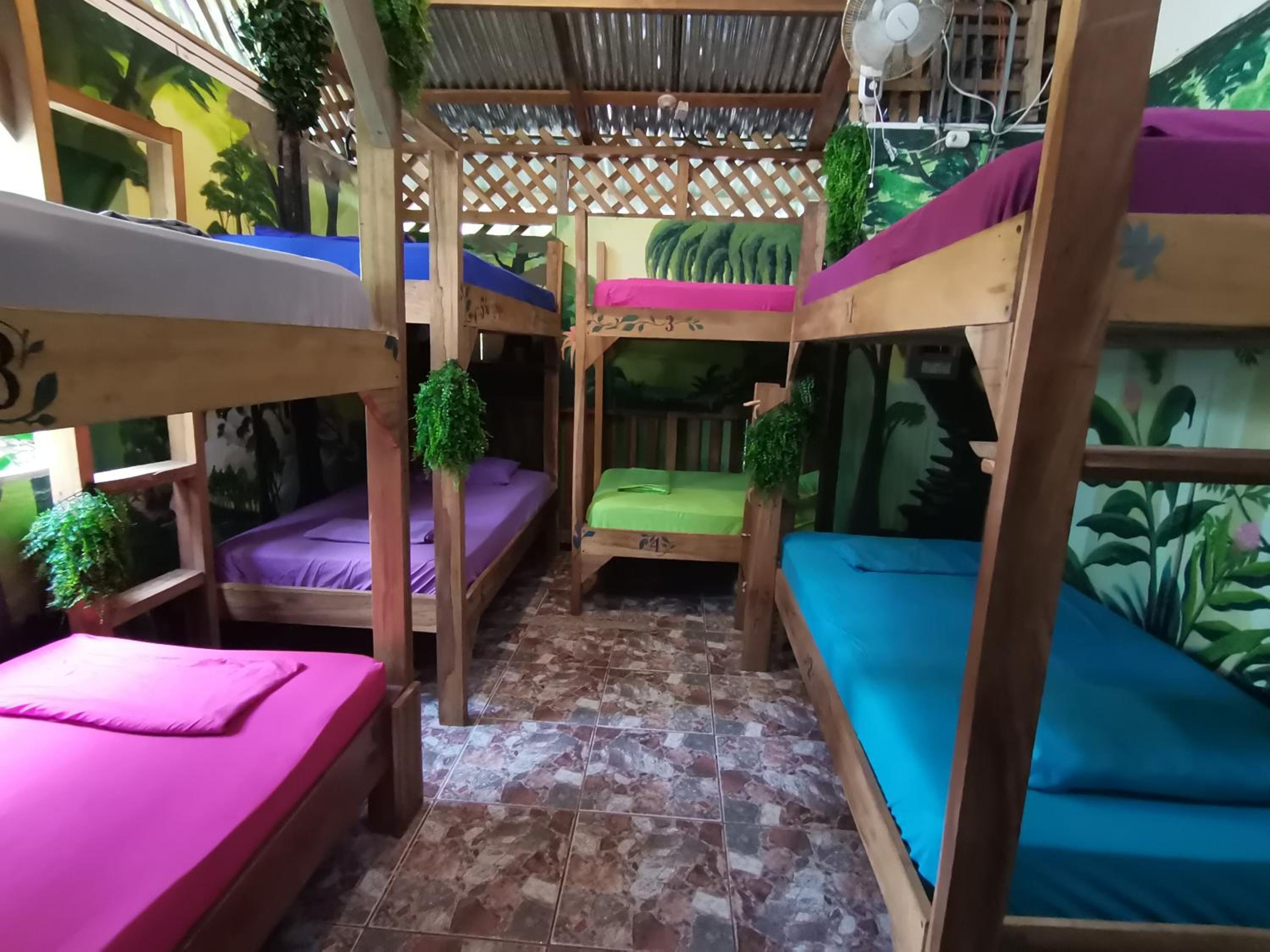 8-Bed Mixed Dormitory Room