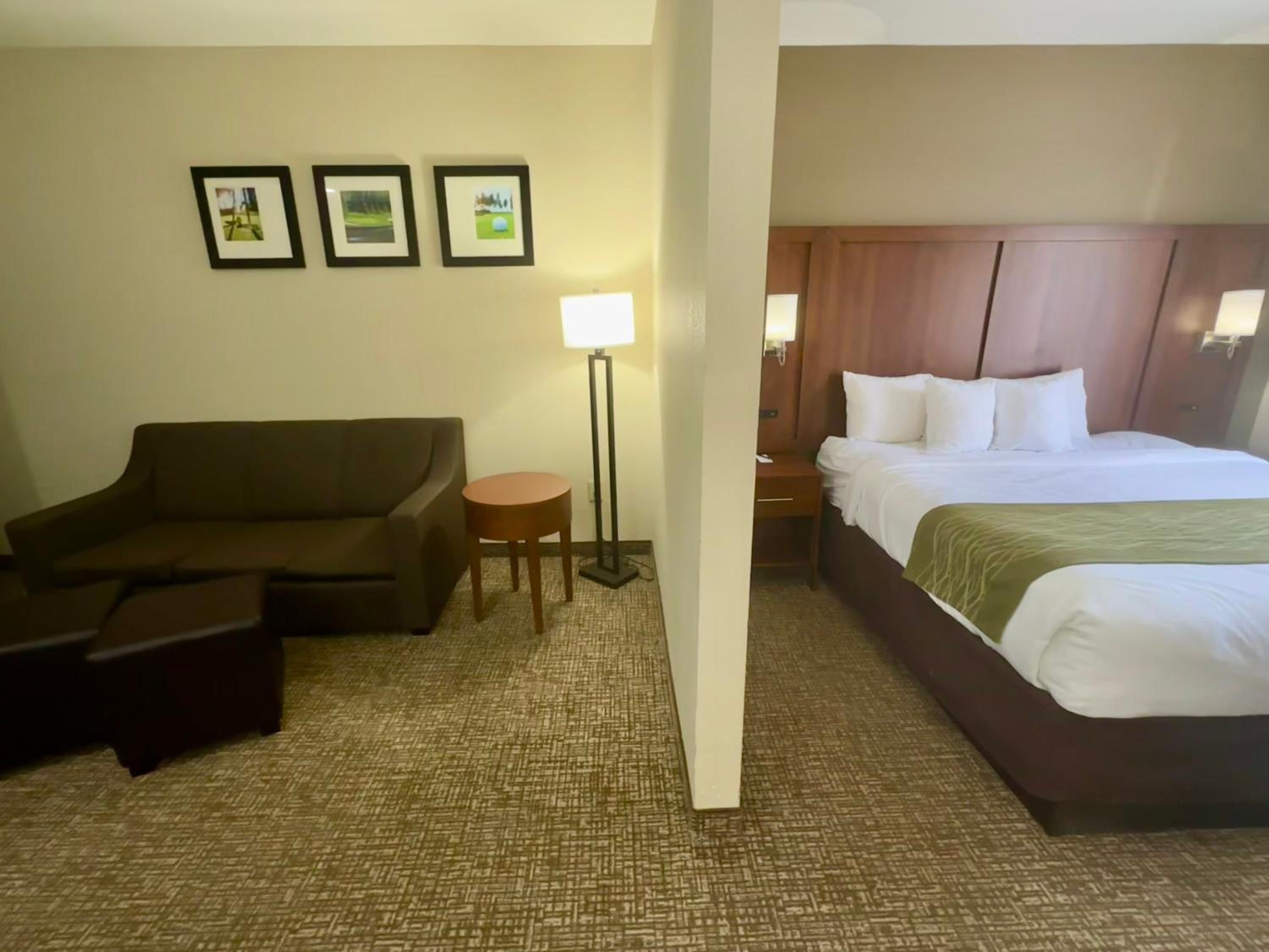 Efficiency King Suite - Accessible/Non Smoking - Photo 1