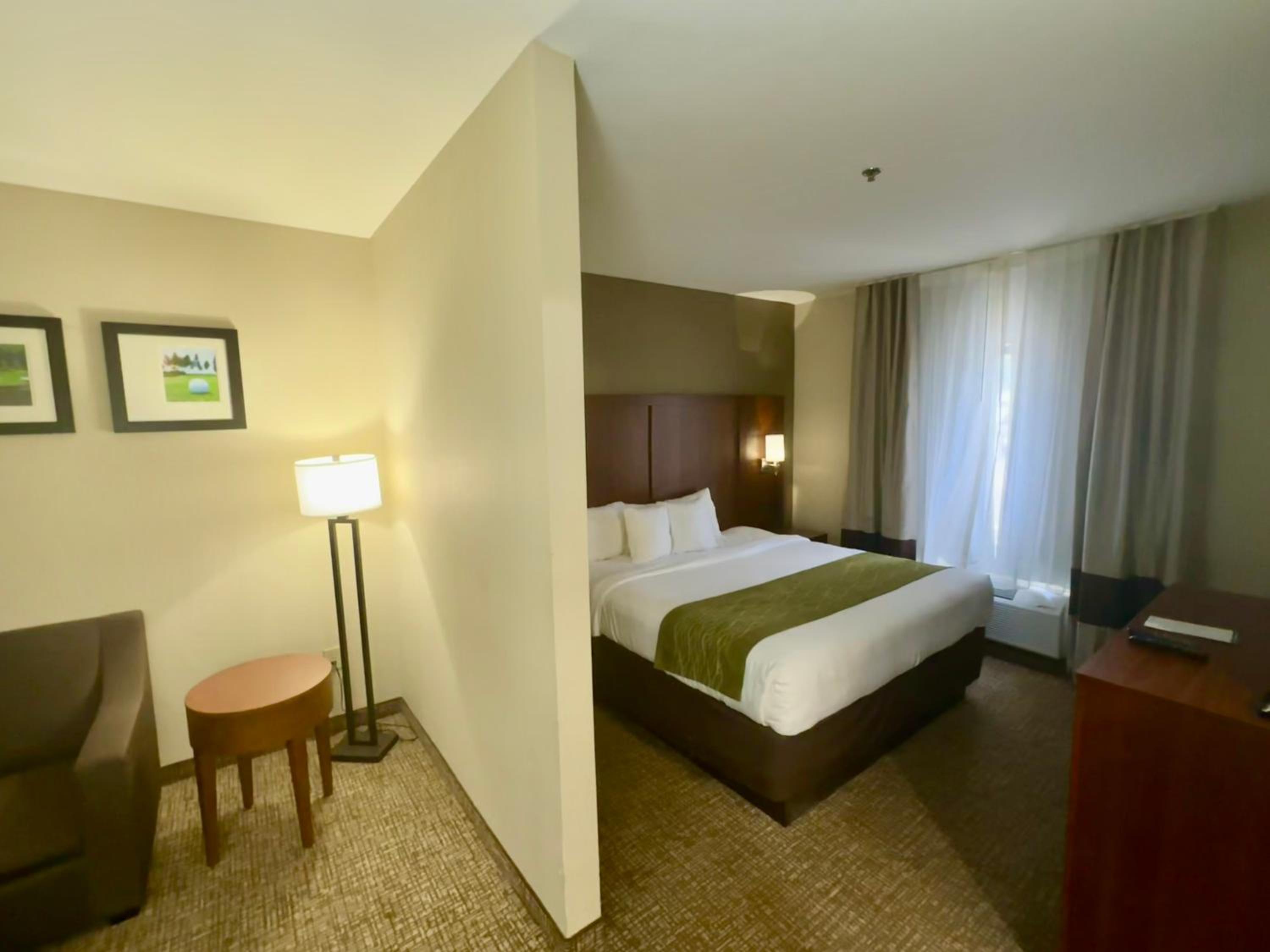 Efficiency King Suite - Accessible/Non Smoking - Photo 4