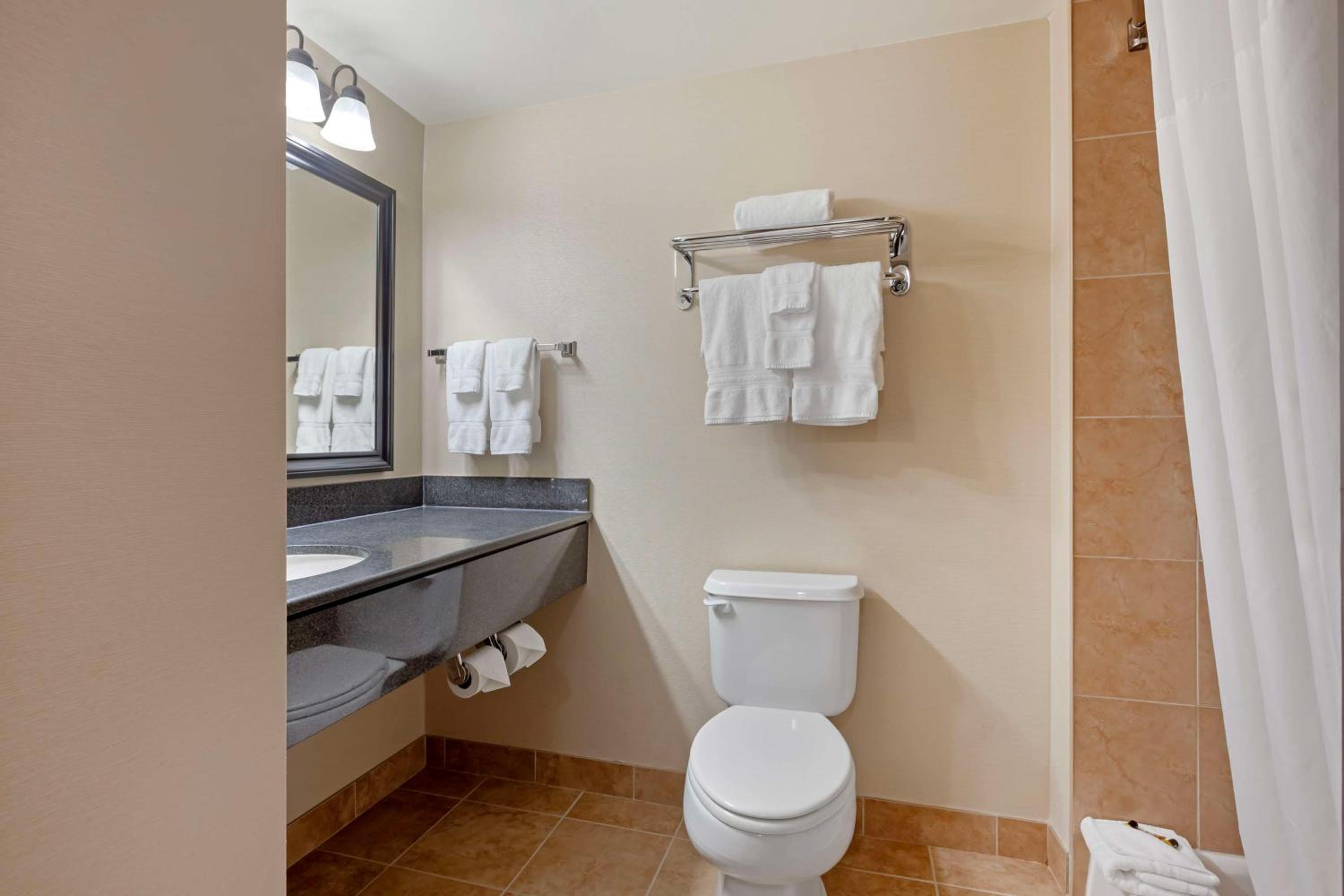 King Suite - Non-Smoking - Photo 2