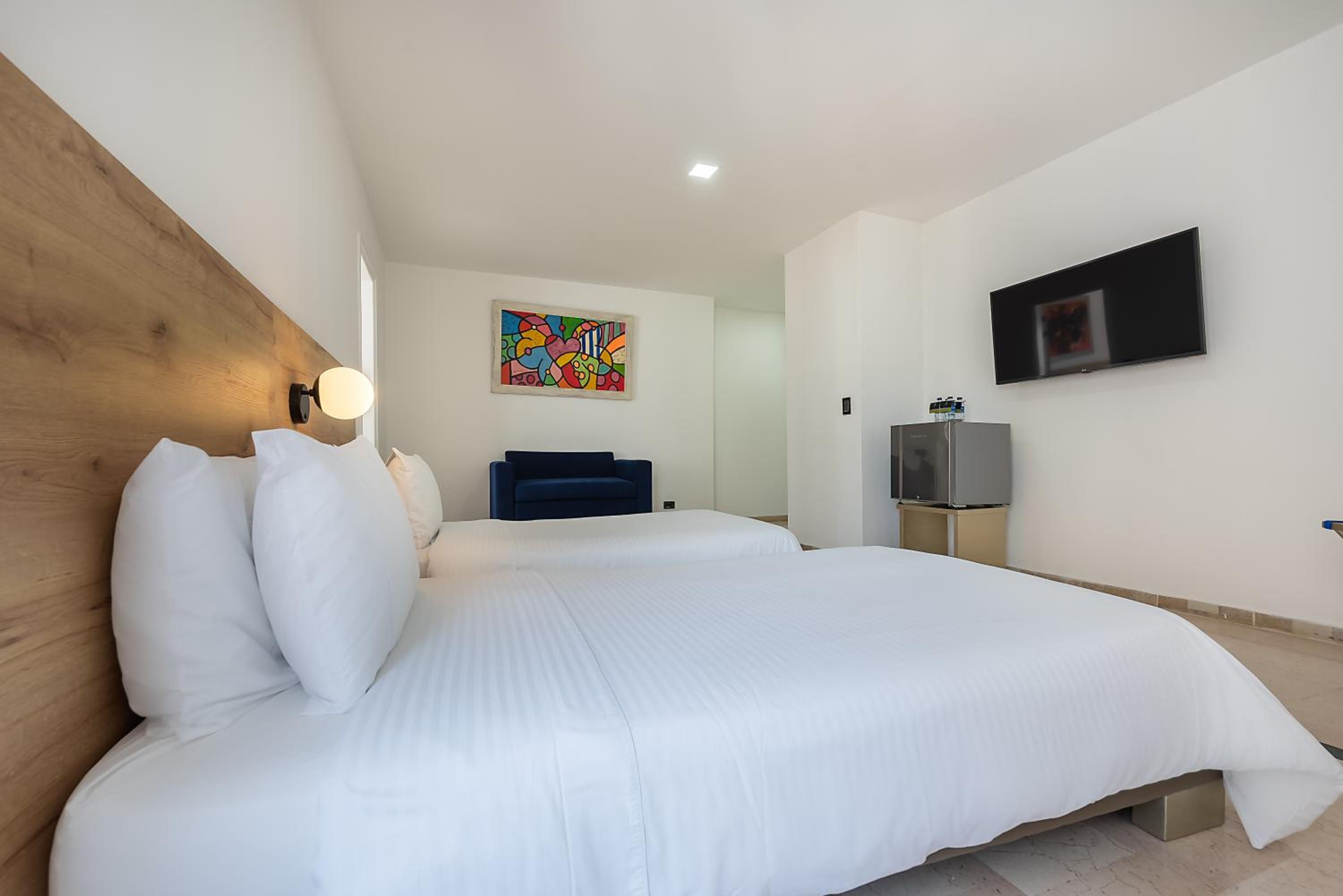 Suite - Photo 2