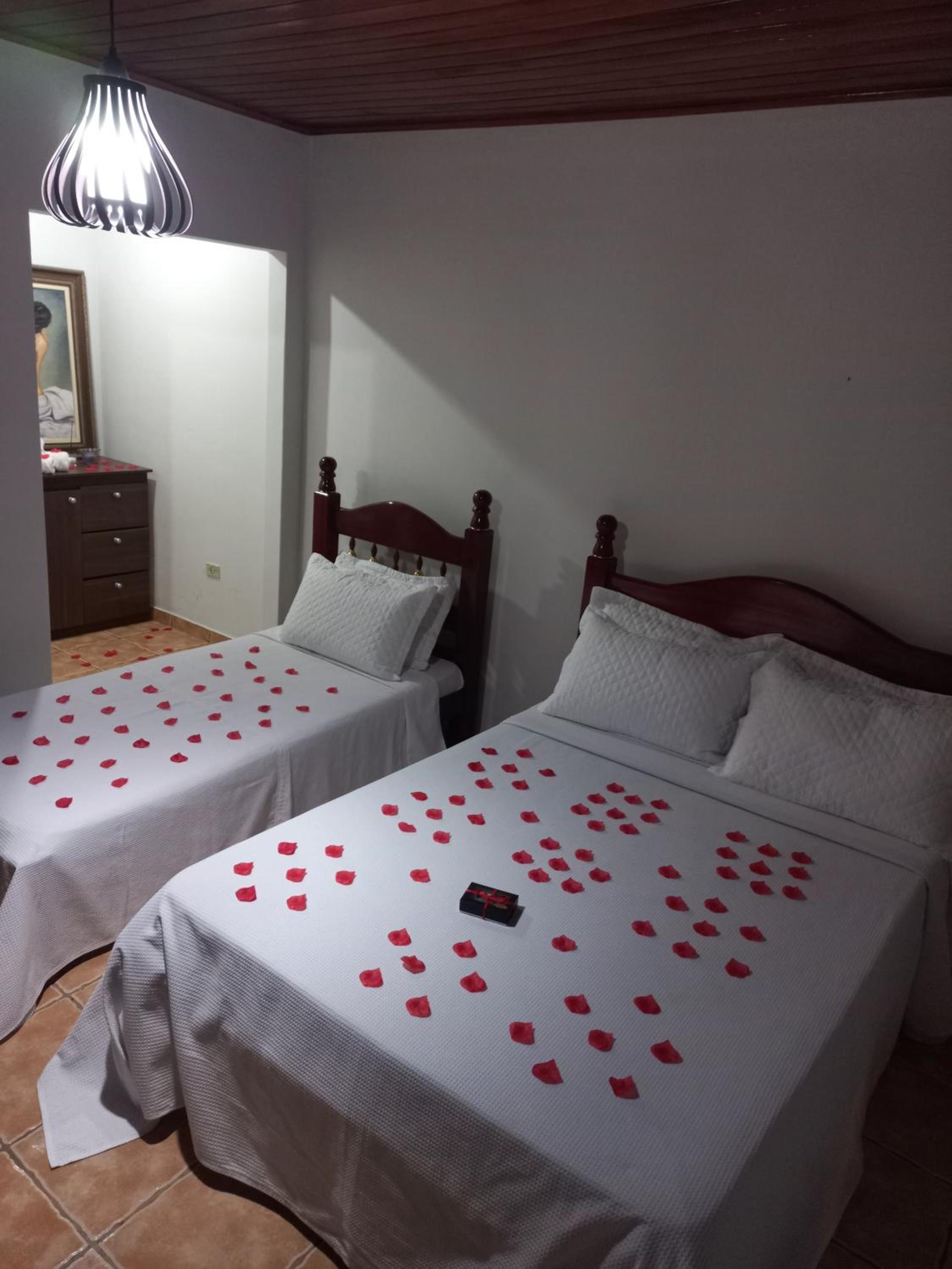 Chalet photo 3