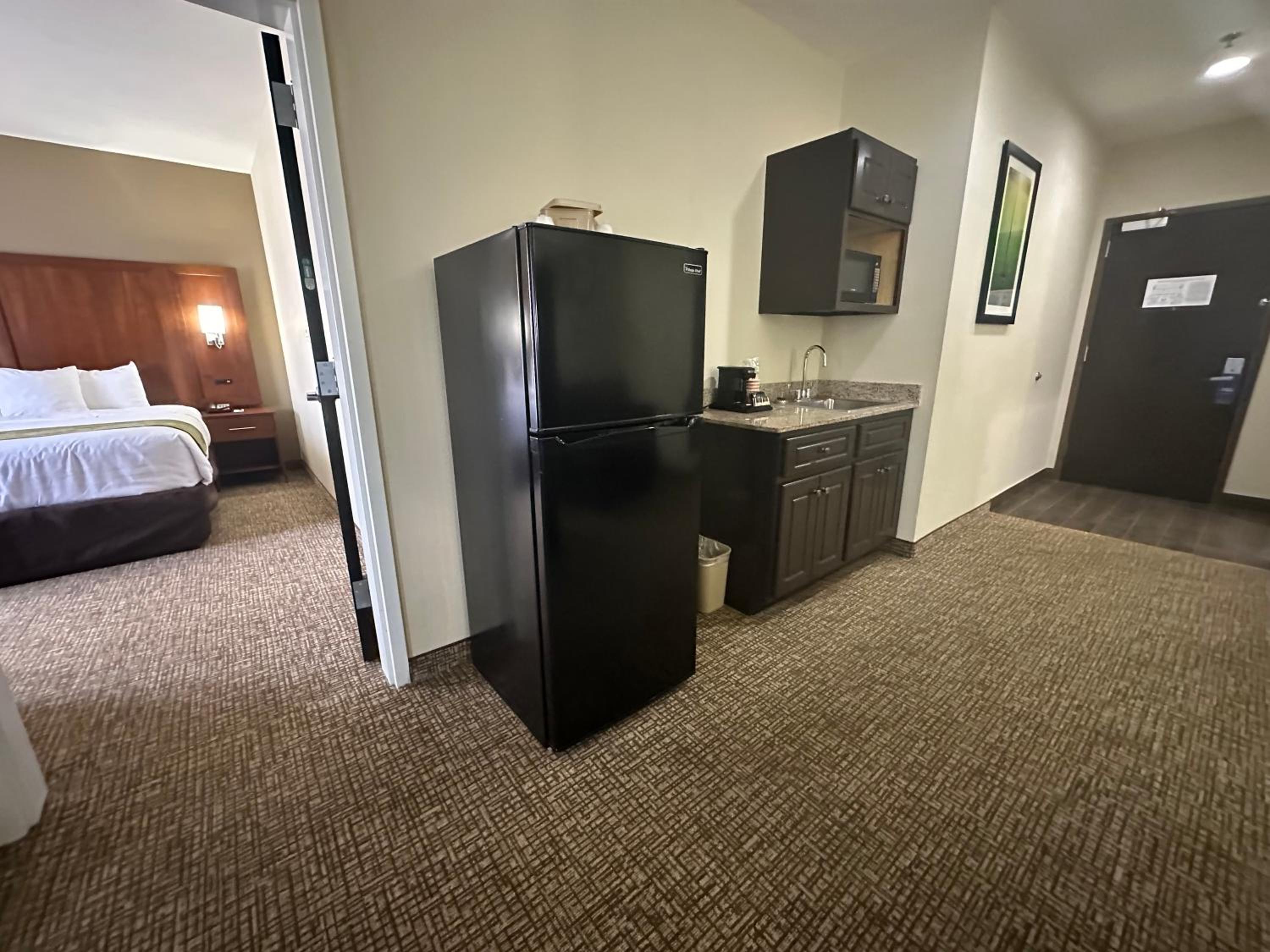 Efficiency King Suite - Non-Smoking - Photo 4