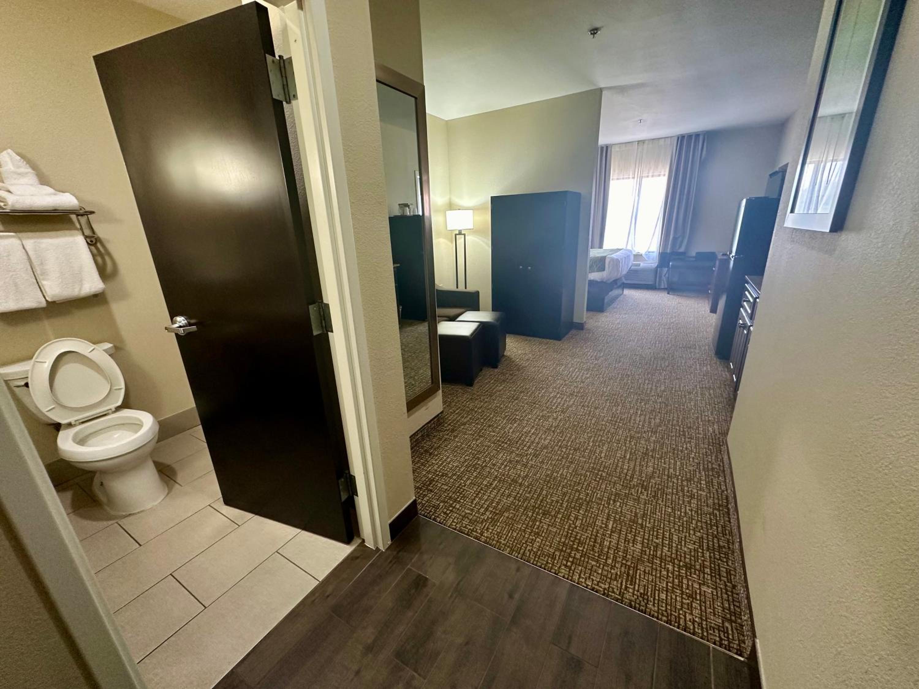 Efficiency King Suite - Non-Smoking - Photo 9