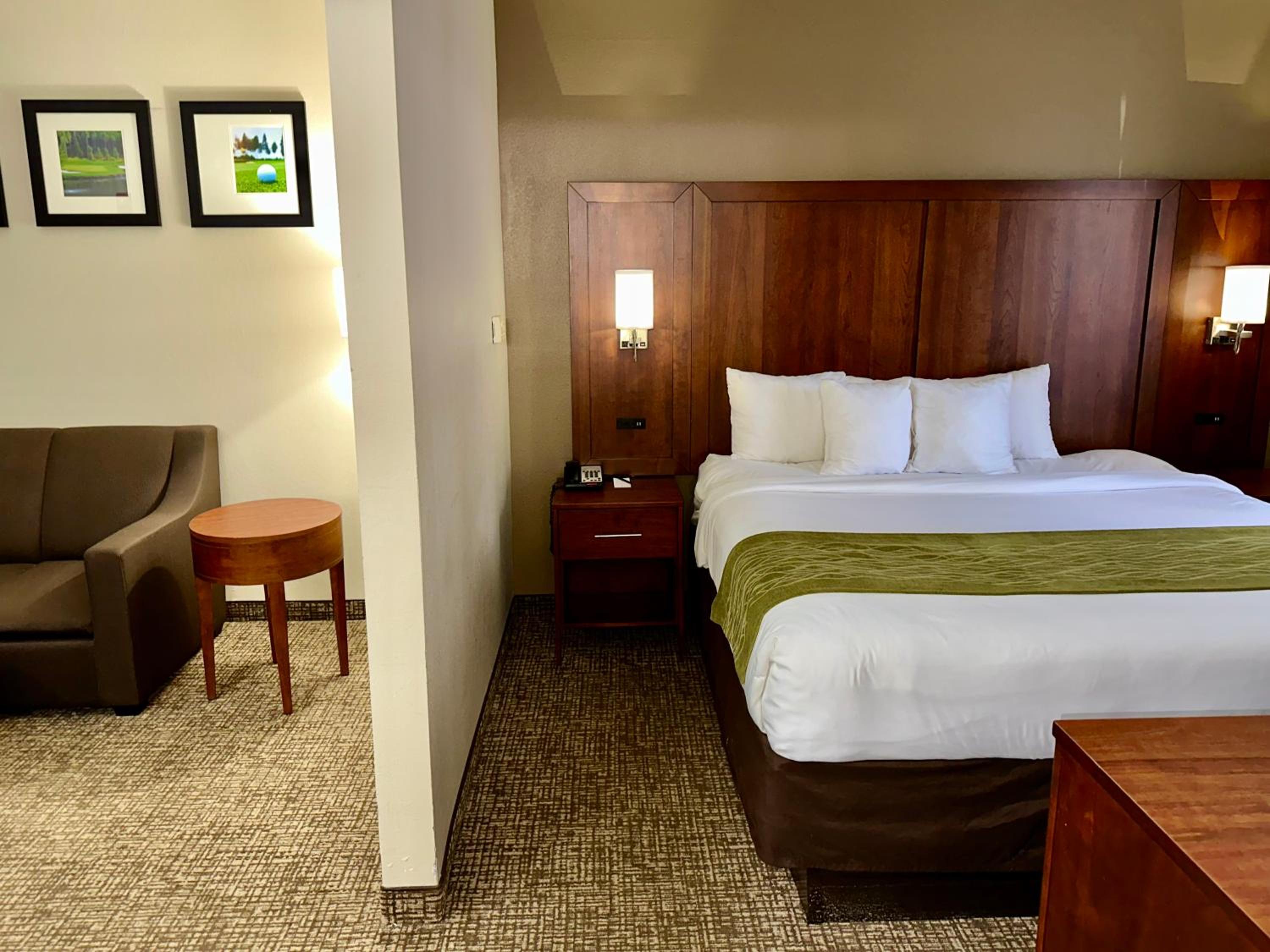 Efficiency King Suite - Accessible/Non Smoking - Photo 15
