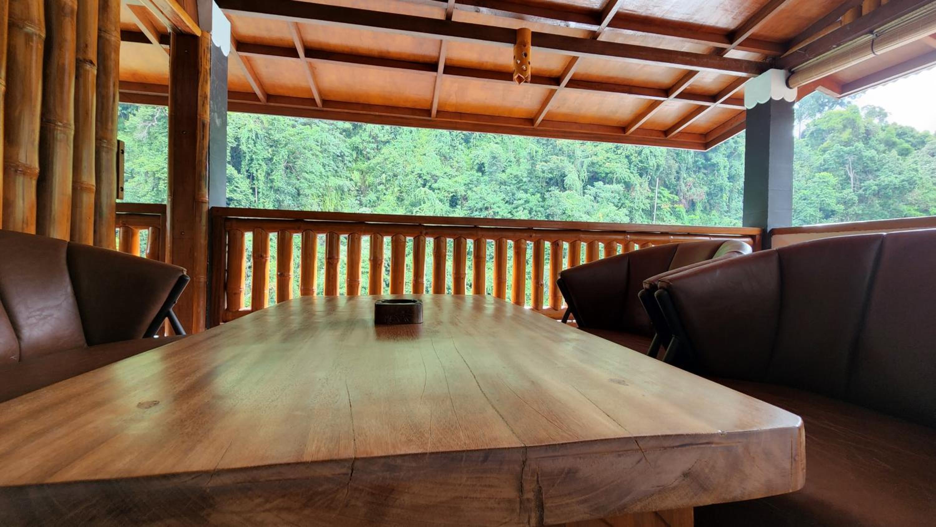 Family Room with Mountain View - Photo 18