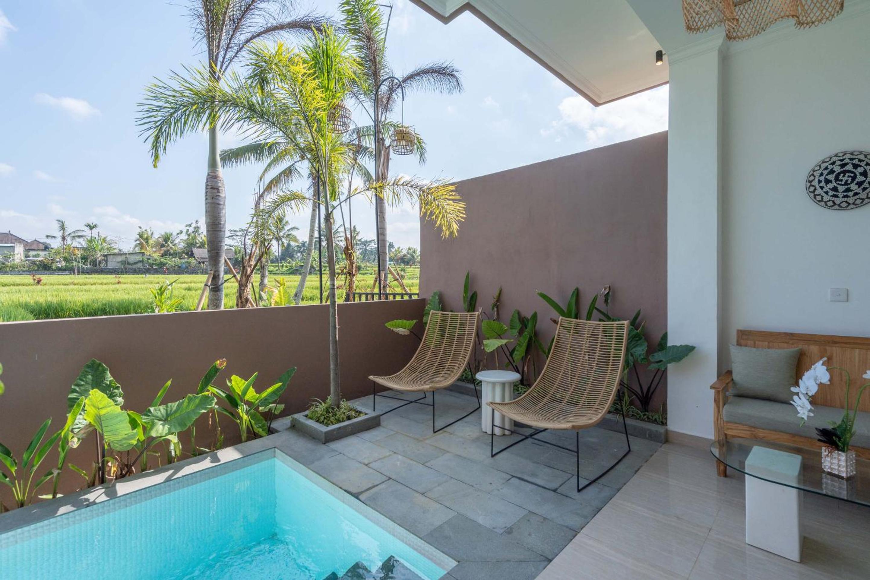 Suite Room with Plunge Pool - Photo 8