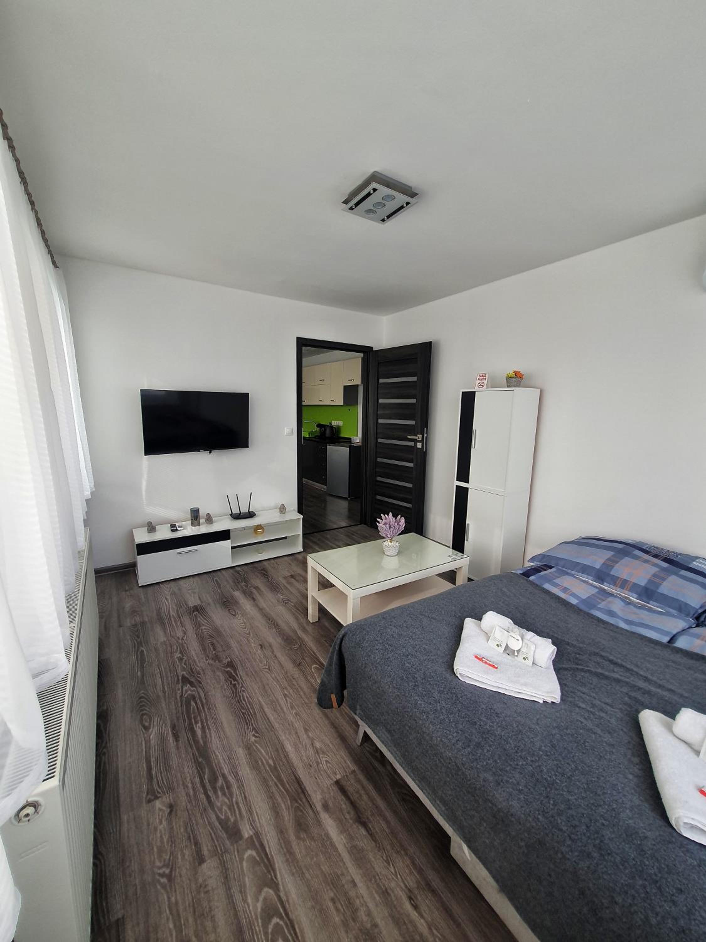 One-Bedroom Apartment - Photo 10