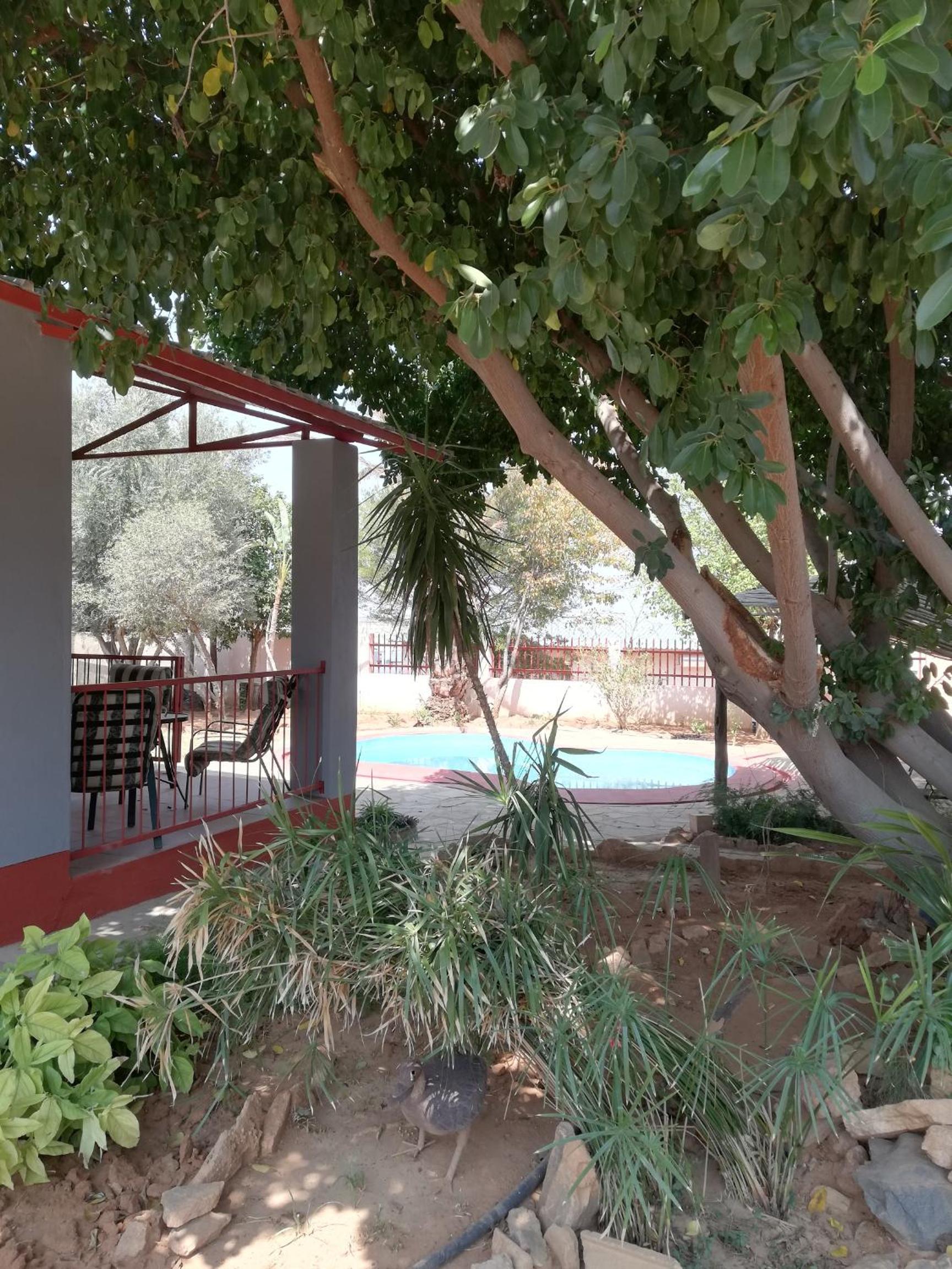 Standard Villa photo 1