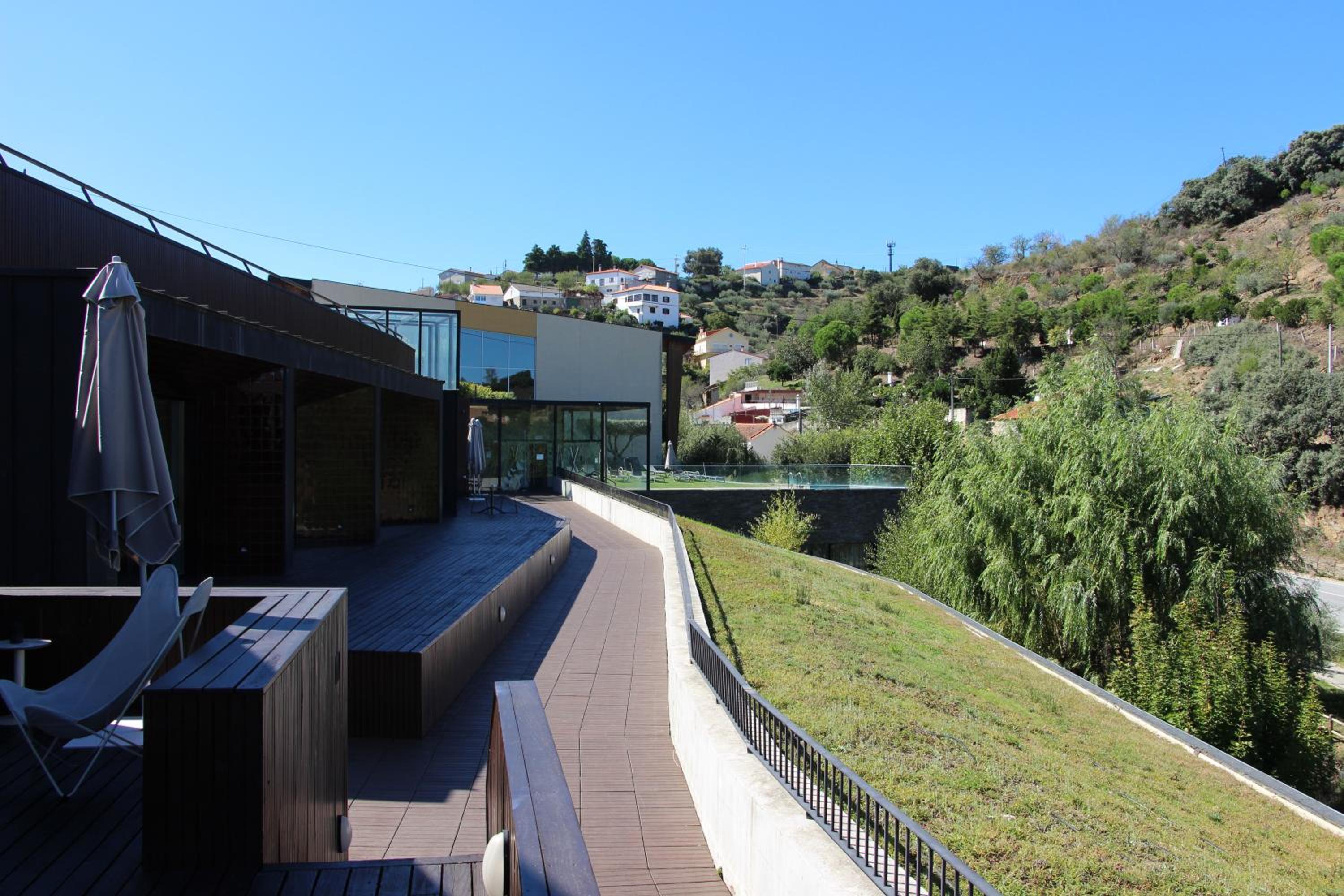 Apartment with Terrace photo 2