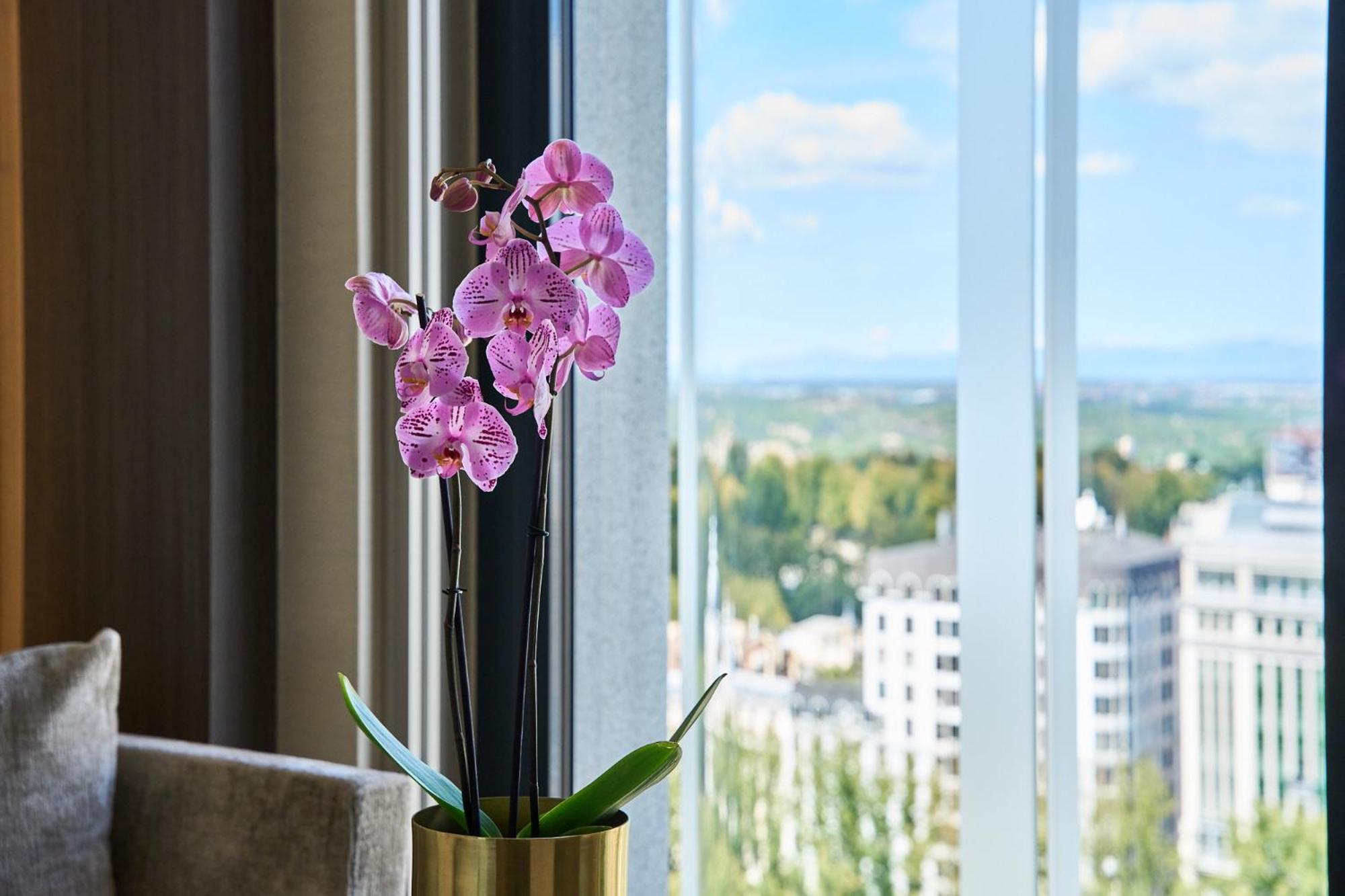 Premium Double or Twin Room - Photo 2