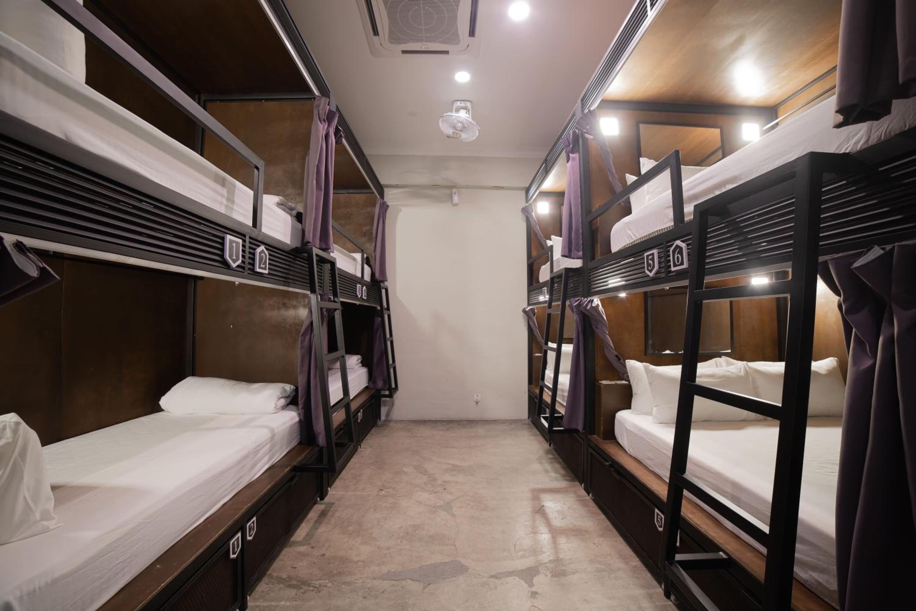 Bunk Bed in Mixed Dormitory Room photo 3
