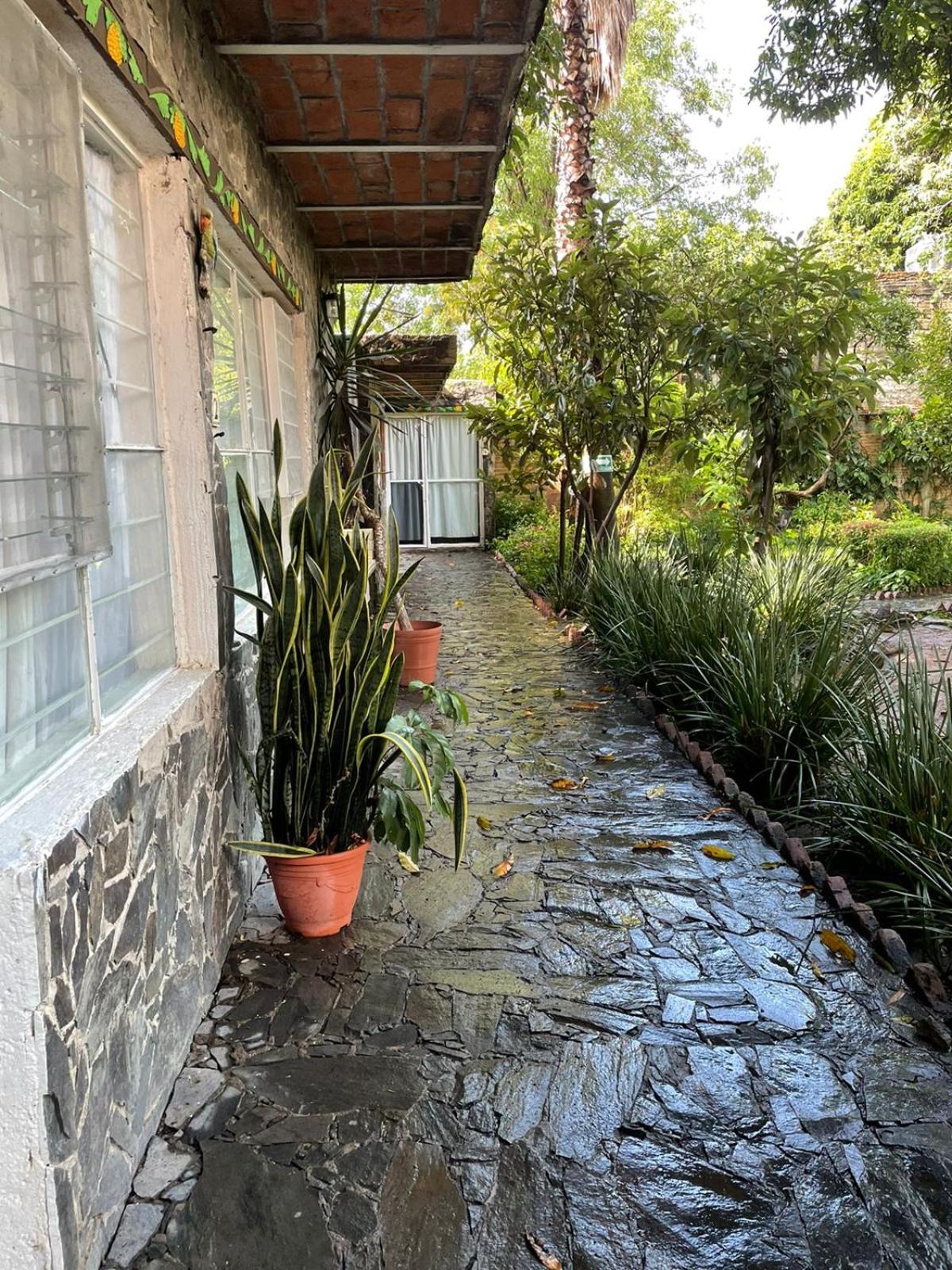 Vacation Home photo 3