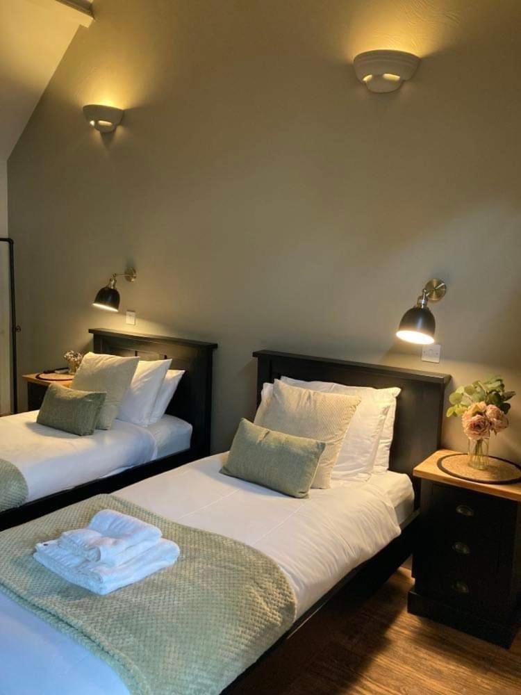 Twin Room photo 2