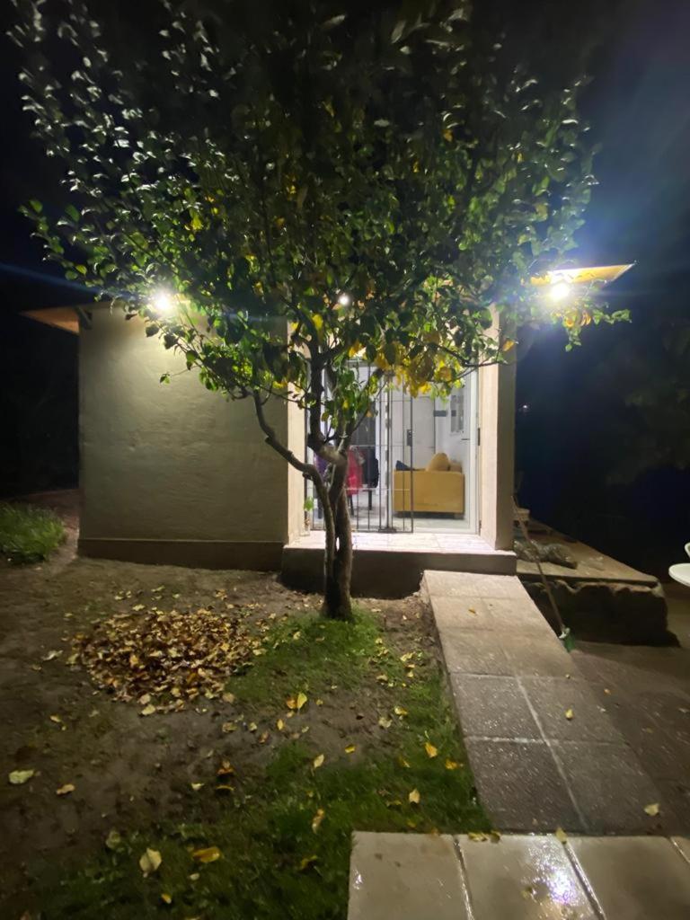 One-Bedroom House photo 3