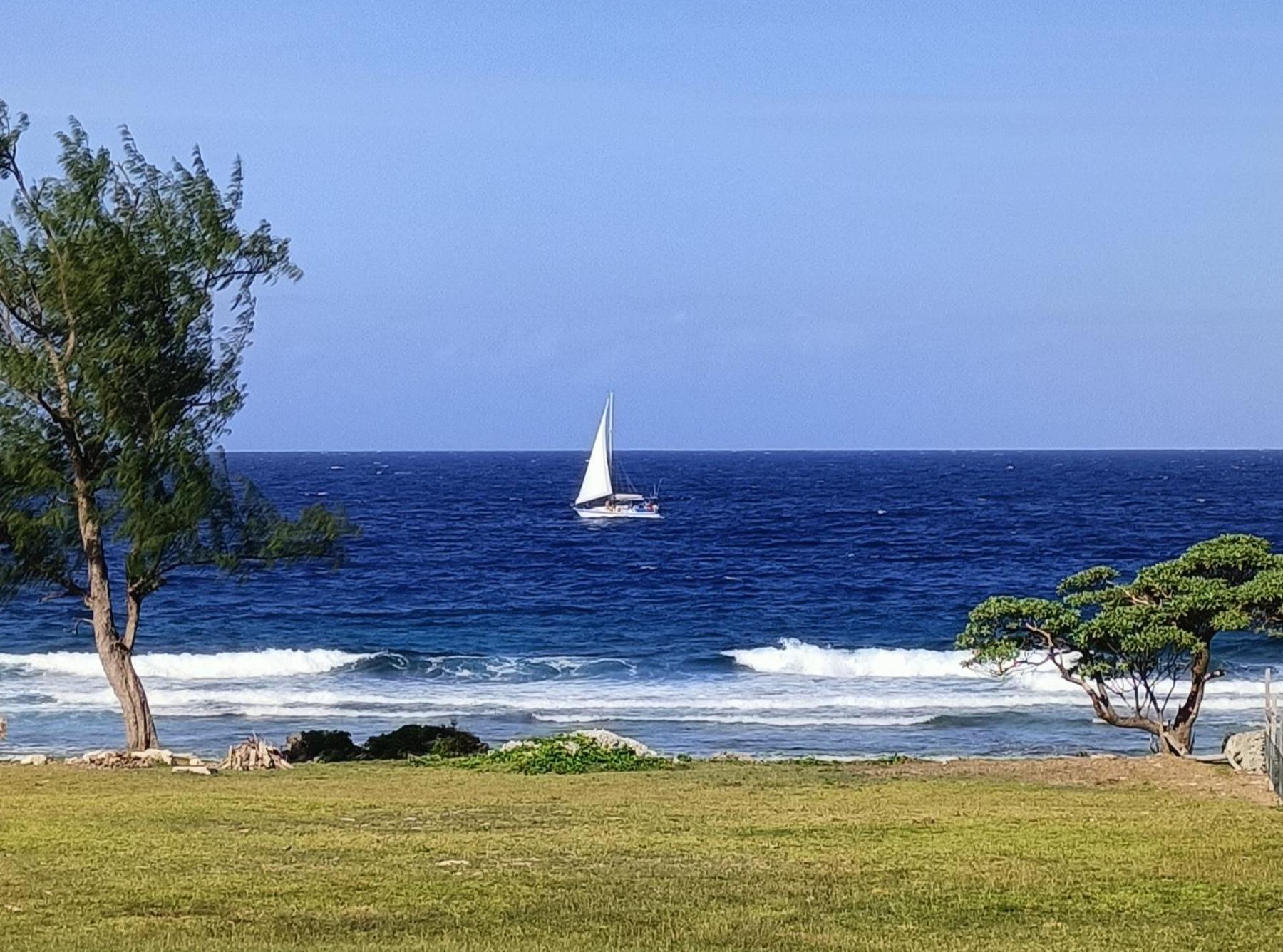 Villa with Sea View photo 3